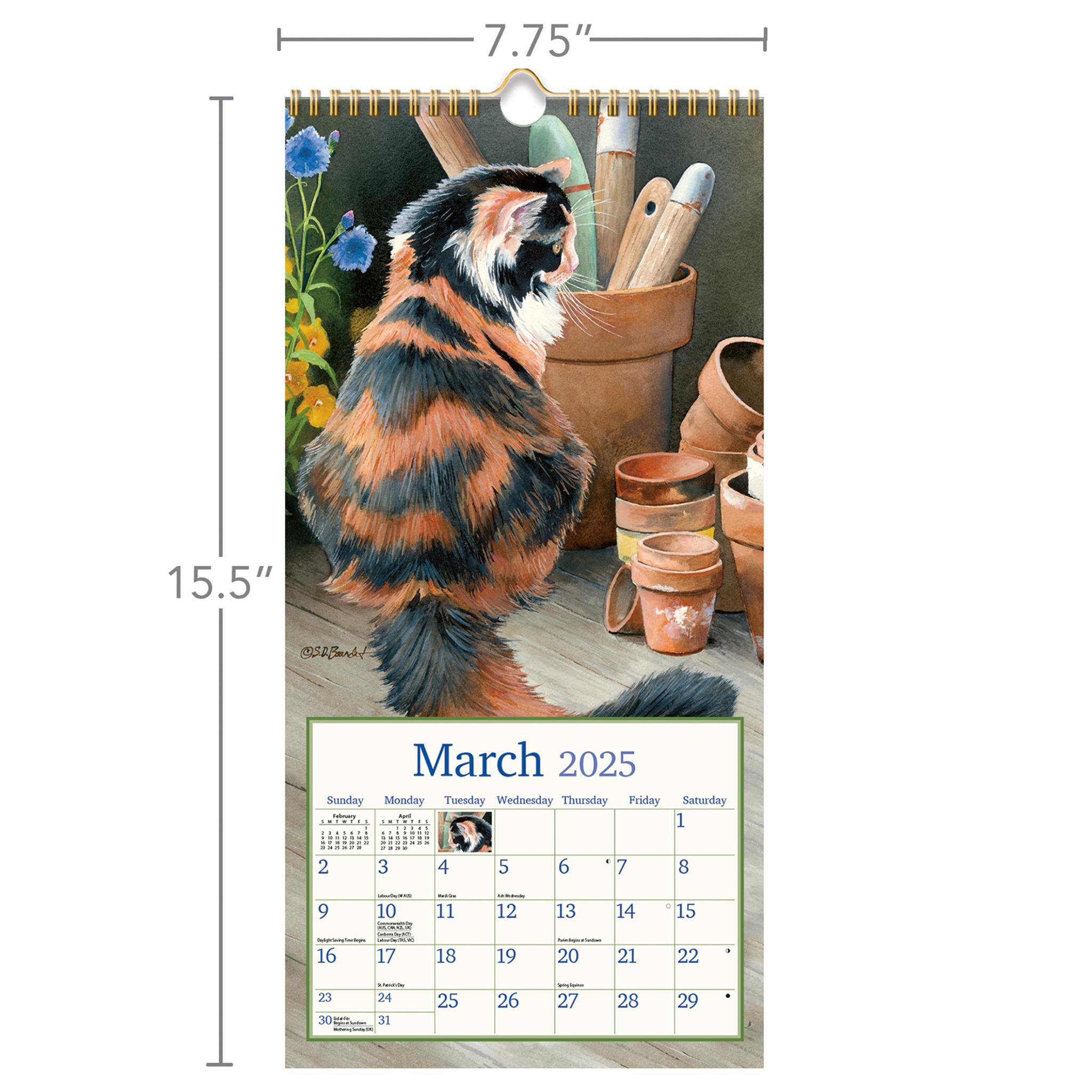 Cats In The Country Slim 2025 Calendar product image | Calendar Club Canada