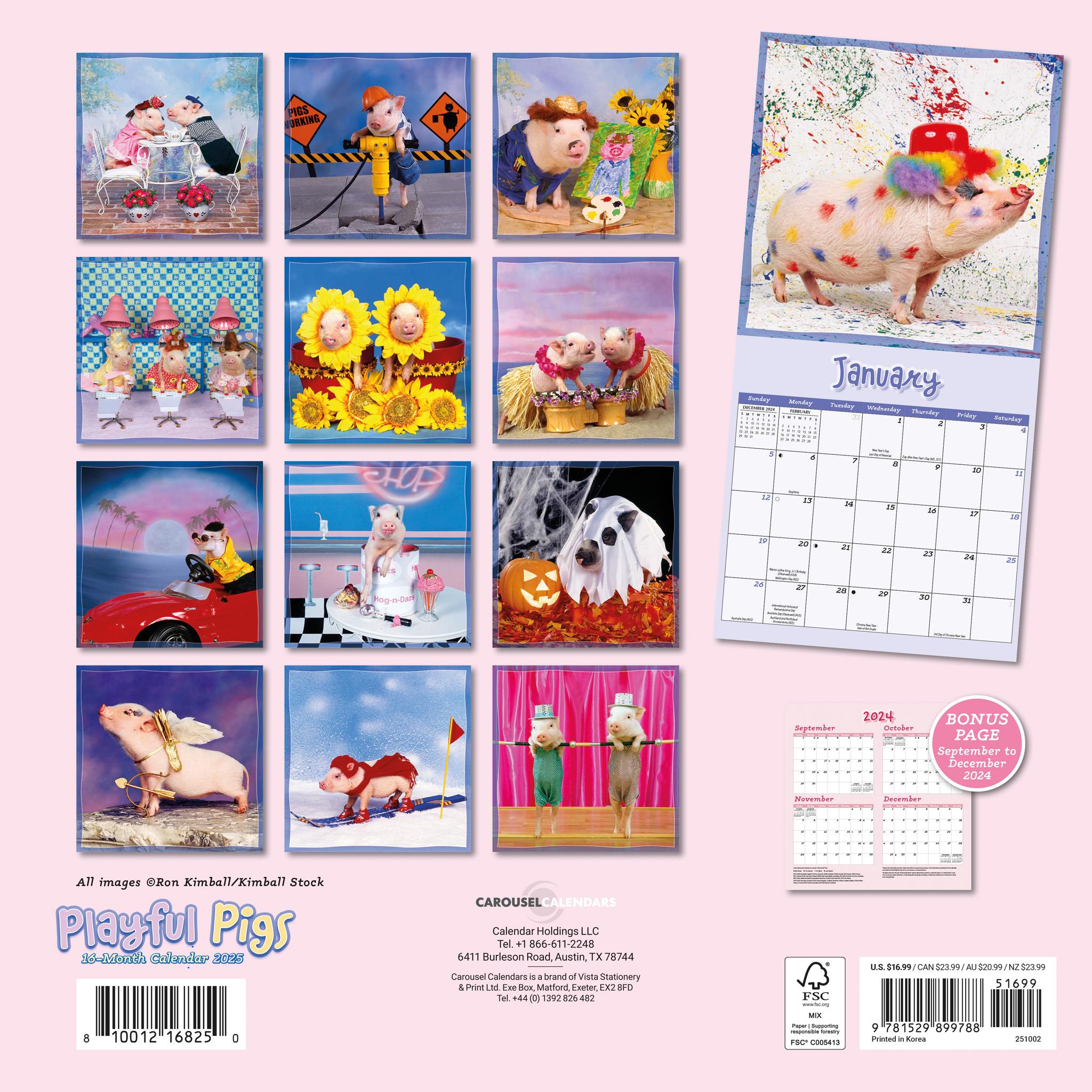 Pigs Playfu Wall 2025 Calendar