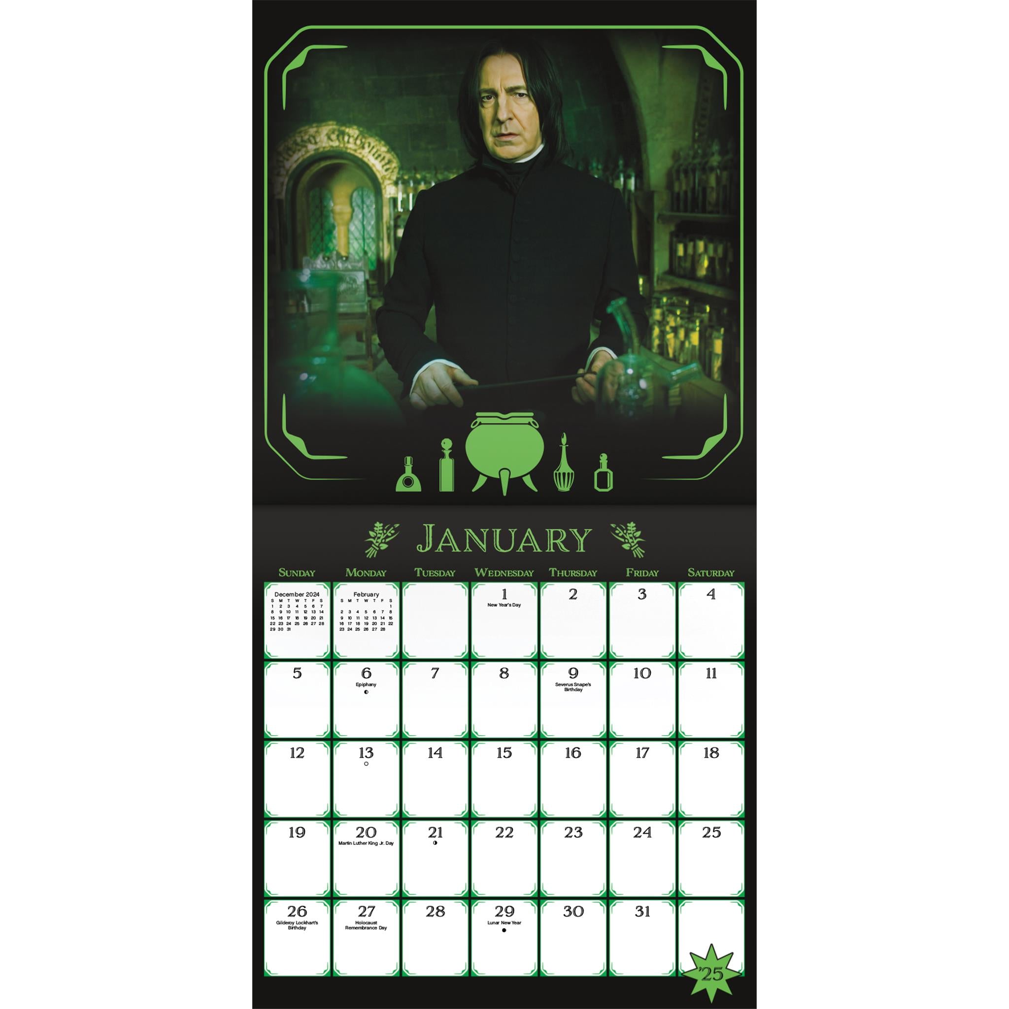 Harry Potter Mini 2025 Calendar