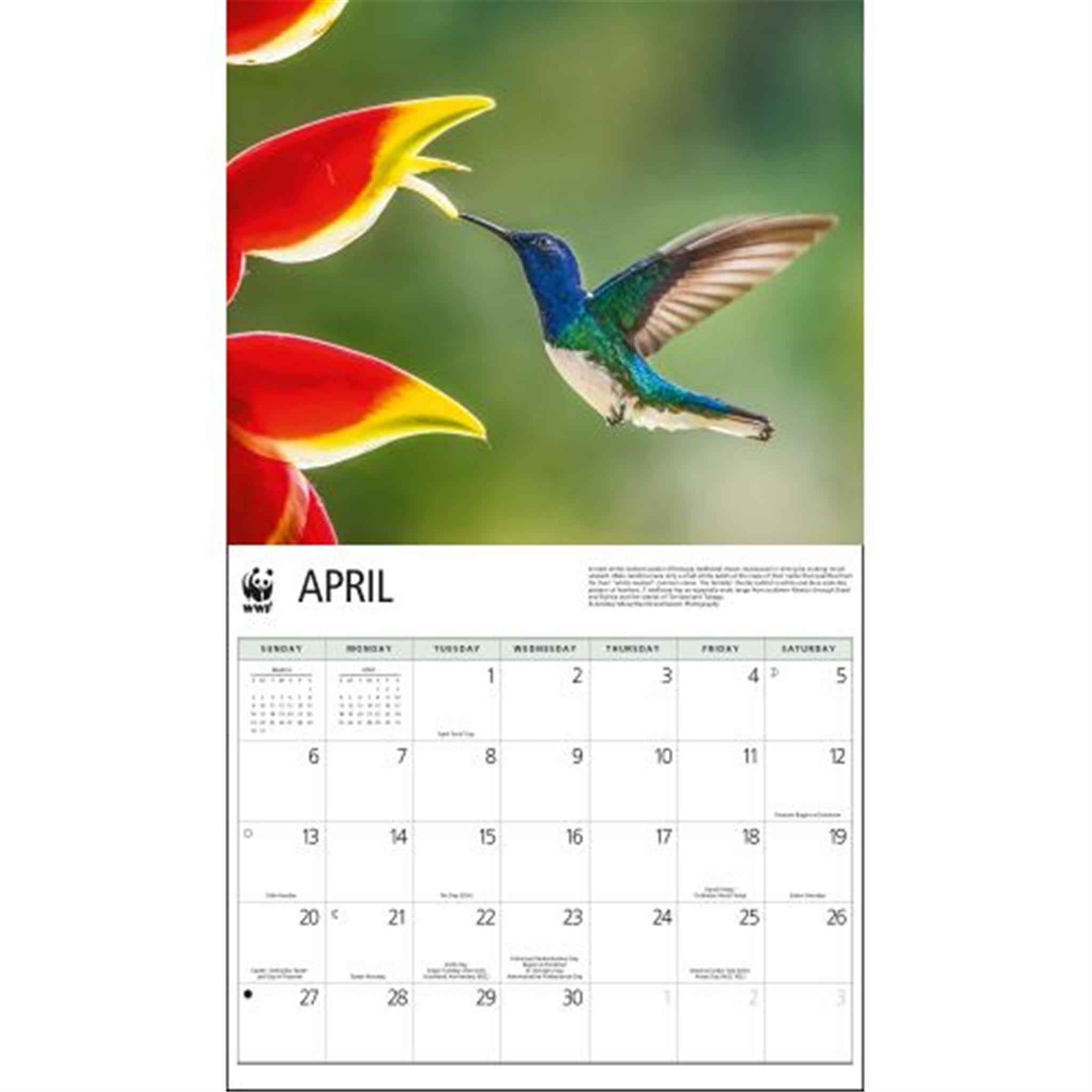 Hummingbirds World Wildlife Fund Wall 2025 Calendar