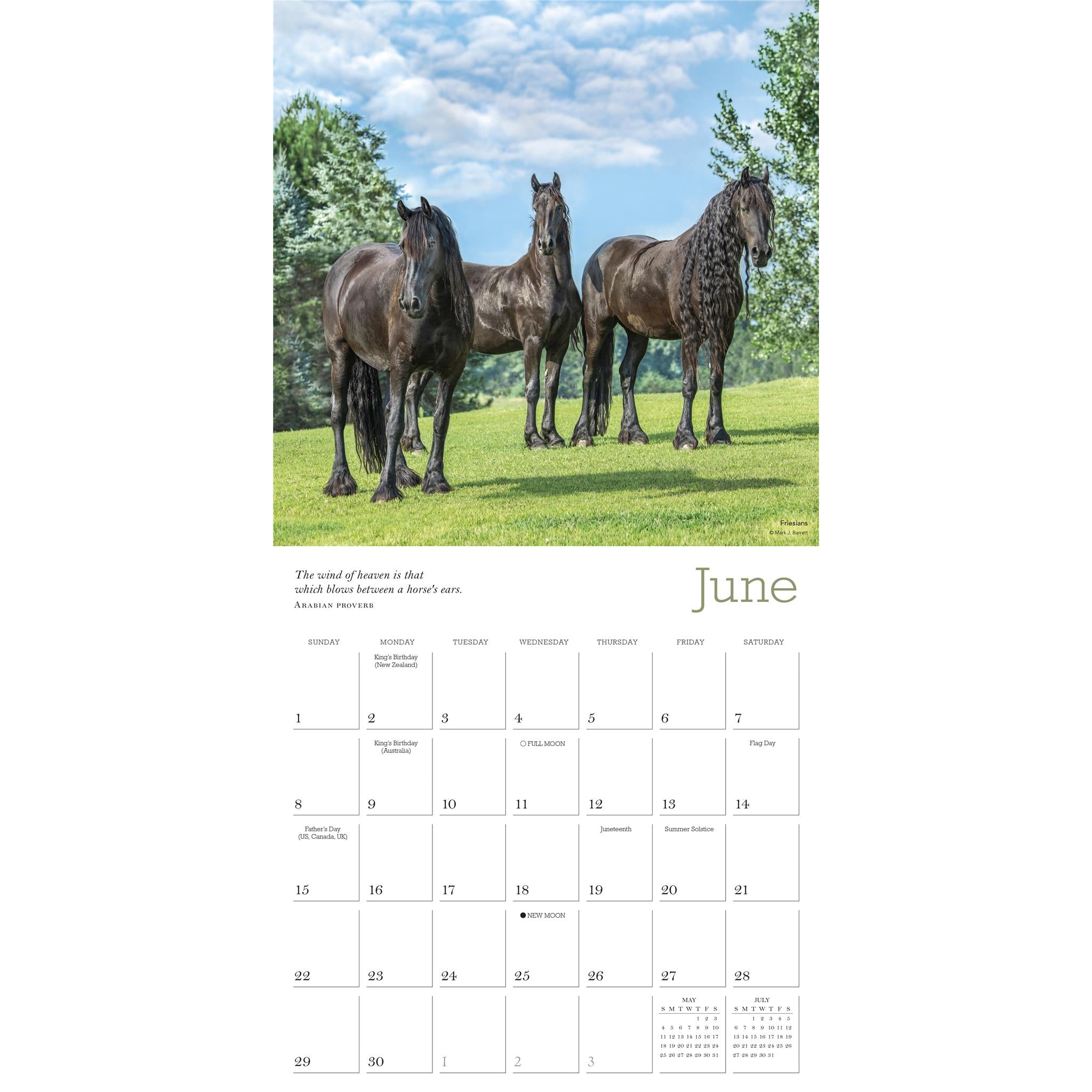 Majestic Horse Wall 2025 Calendar - Online Exclusive