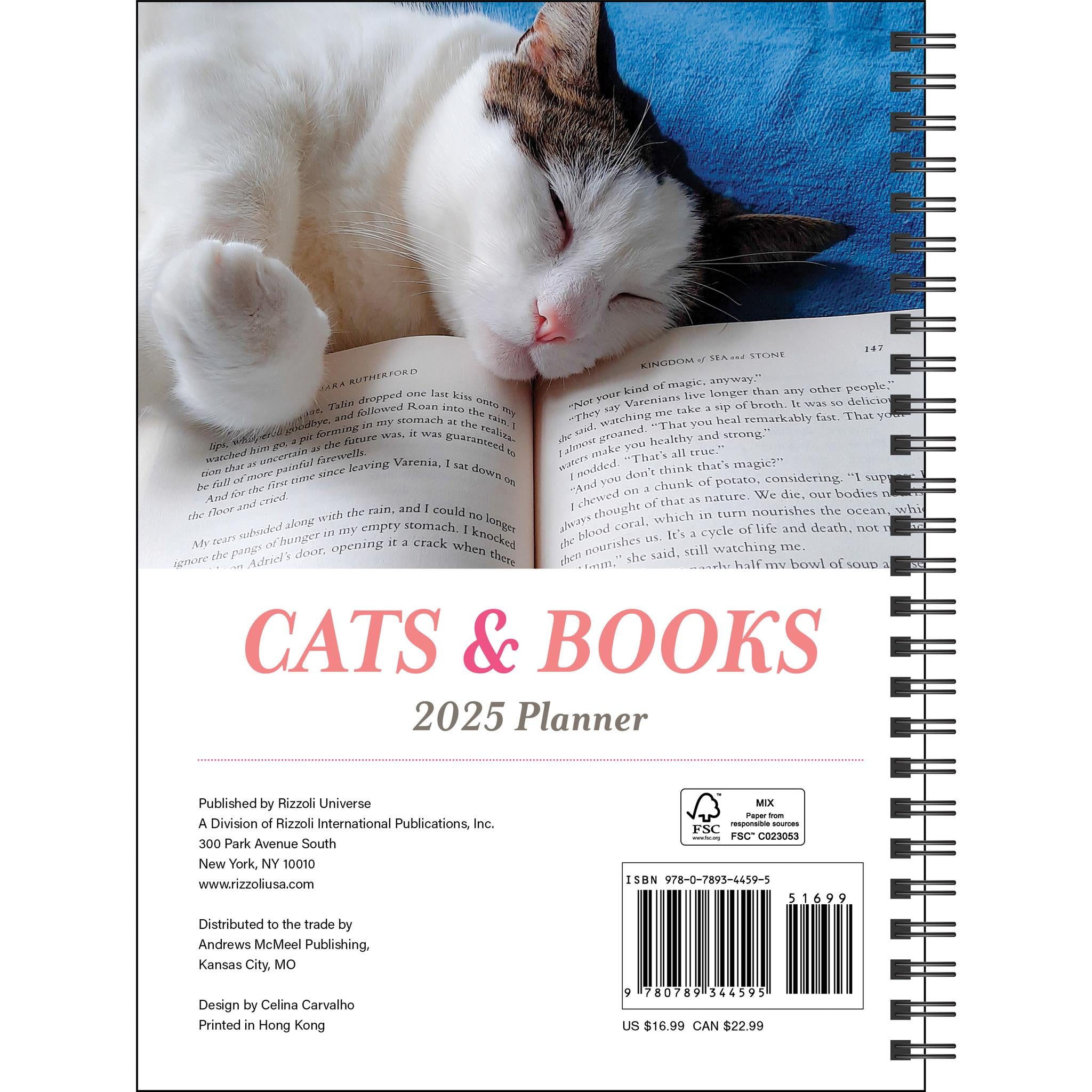 Cats And Books Engagement 2025 Calendar - Online Exclusive