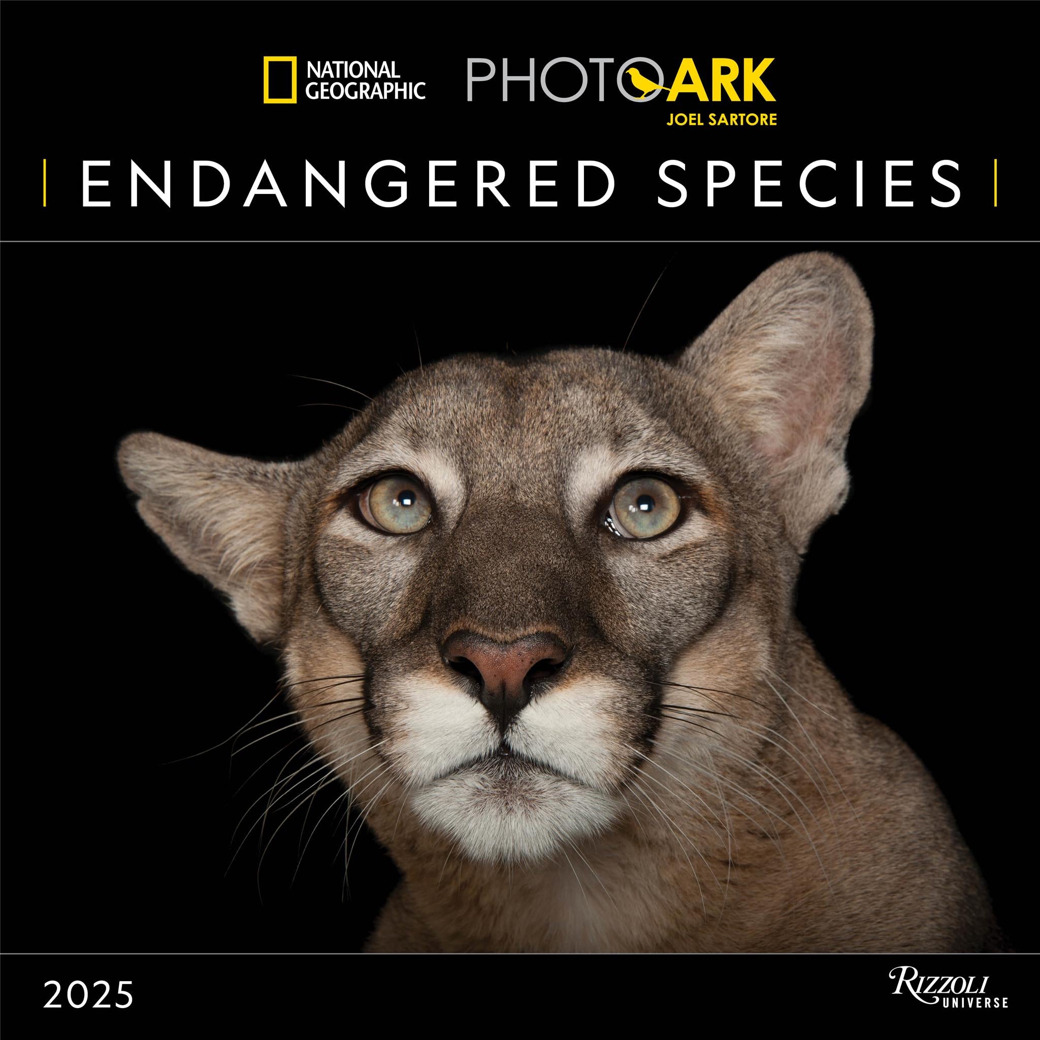 Endangered Species National Geographic Wall 2025 Calendar - Online Exclusive