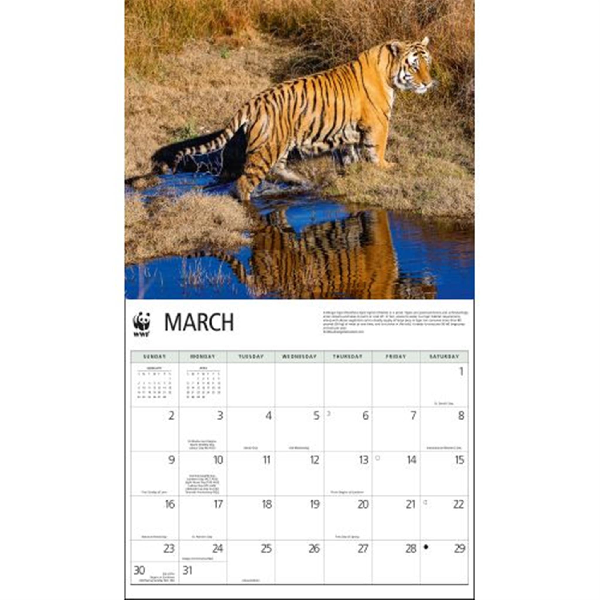 Tigers World Wildlife Fund Wall 2025 Calendar