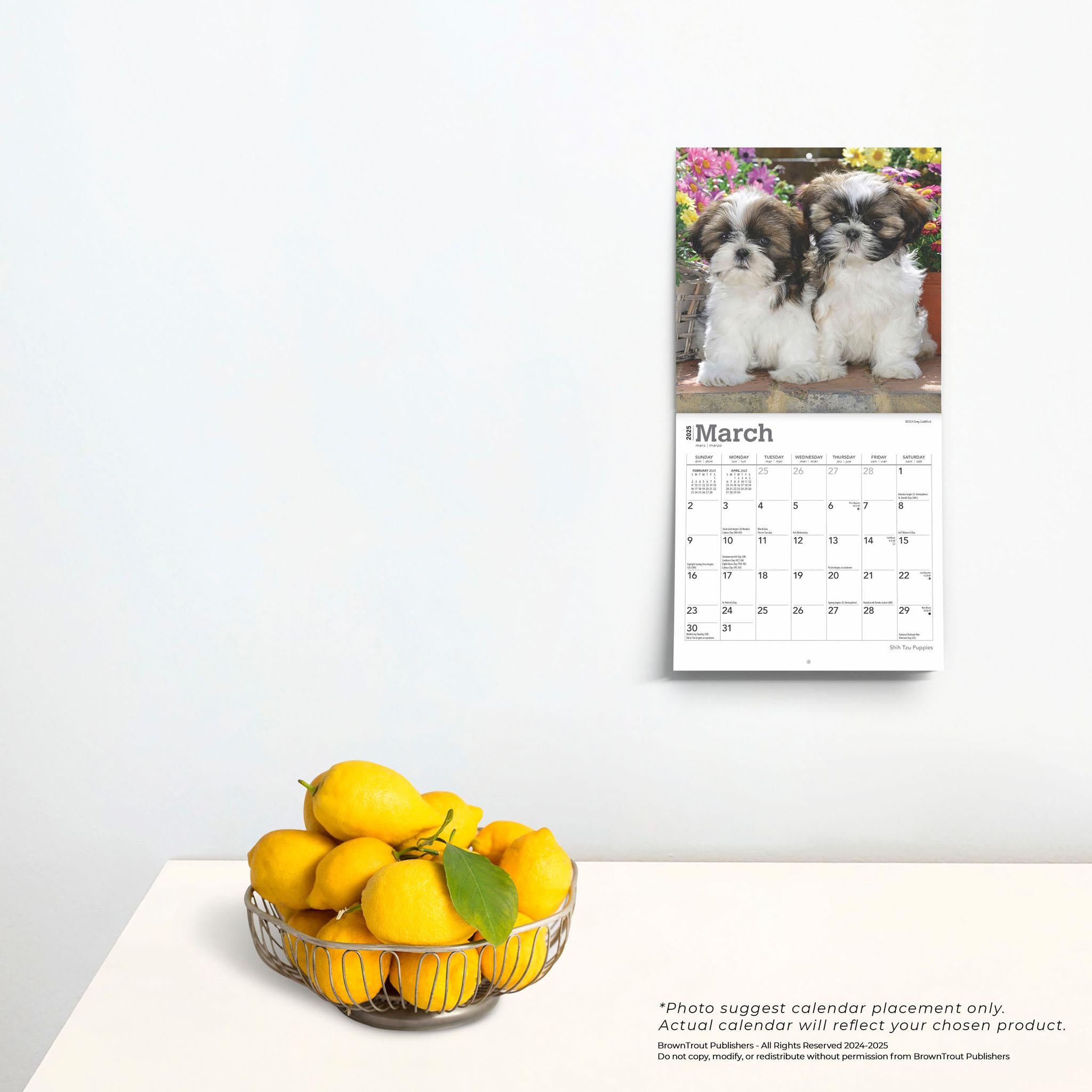 Shih Tzu Puppies Mini 2025 Calendar