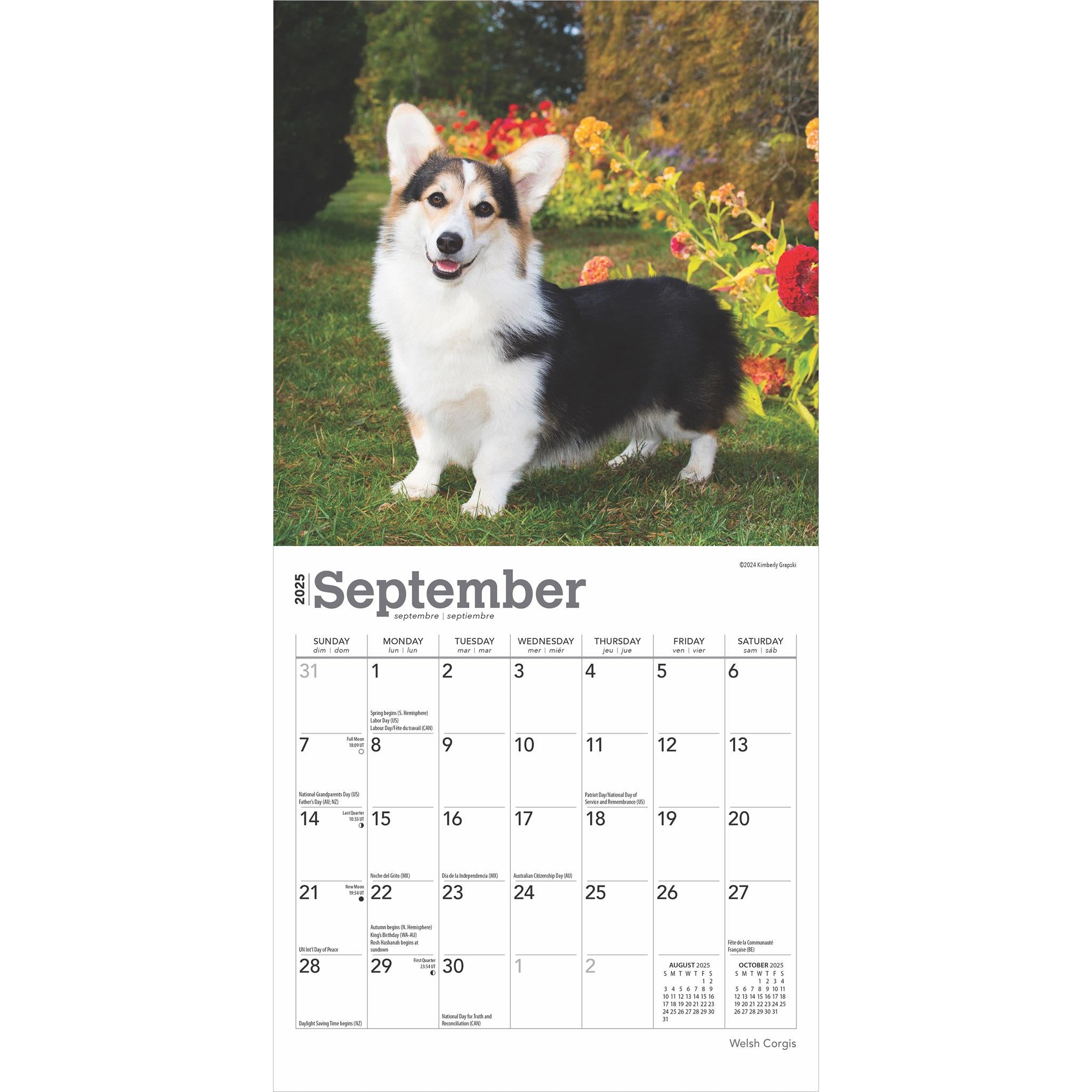 Corgis Welsh Mini 2025 Calendar