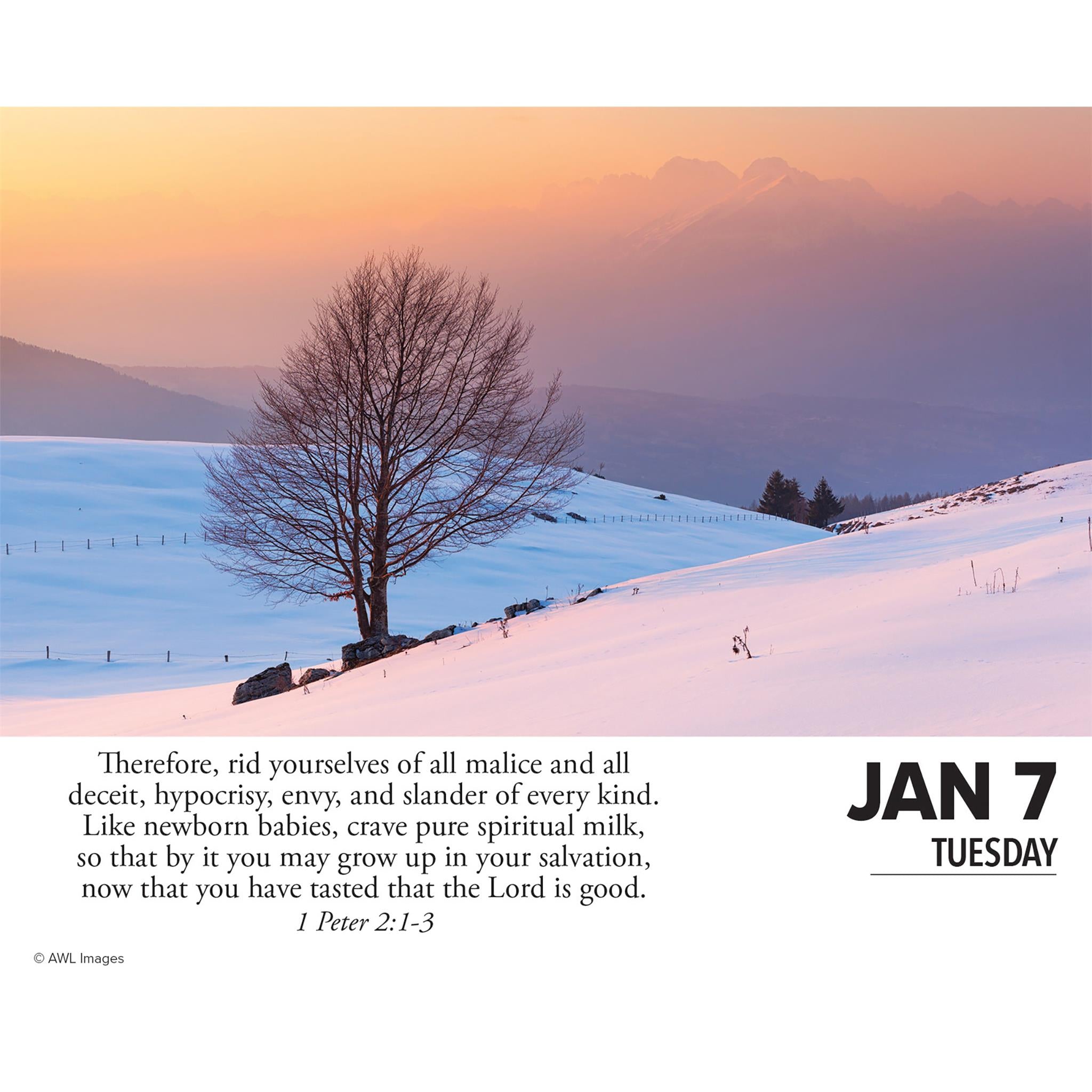 Bible Verses Box 2025 Calendar - Online Exclusive