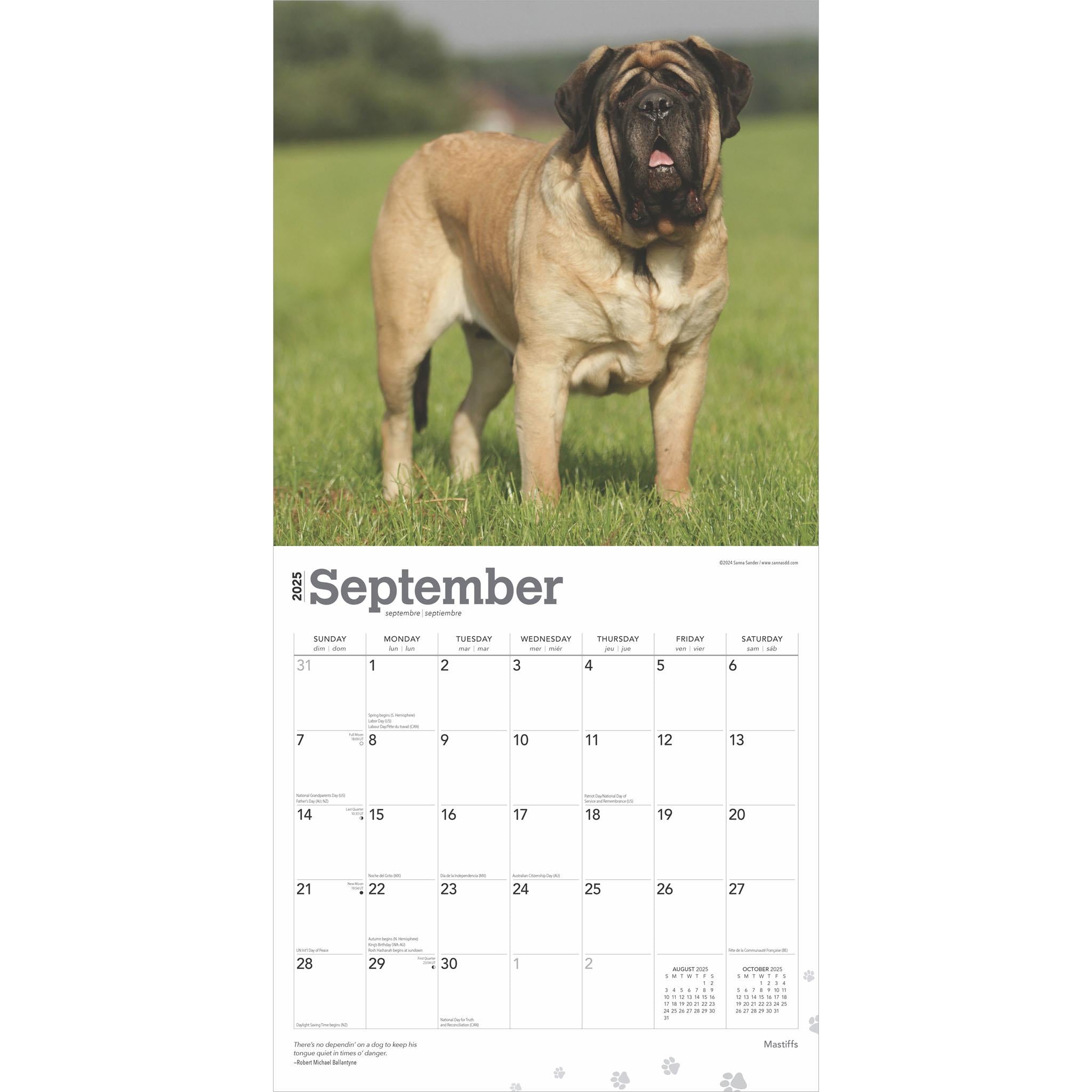 Mastiffs Wall 2025 Calendar