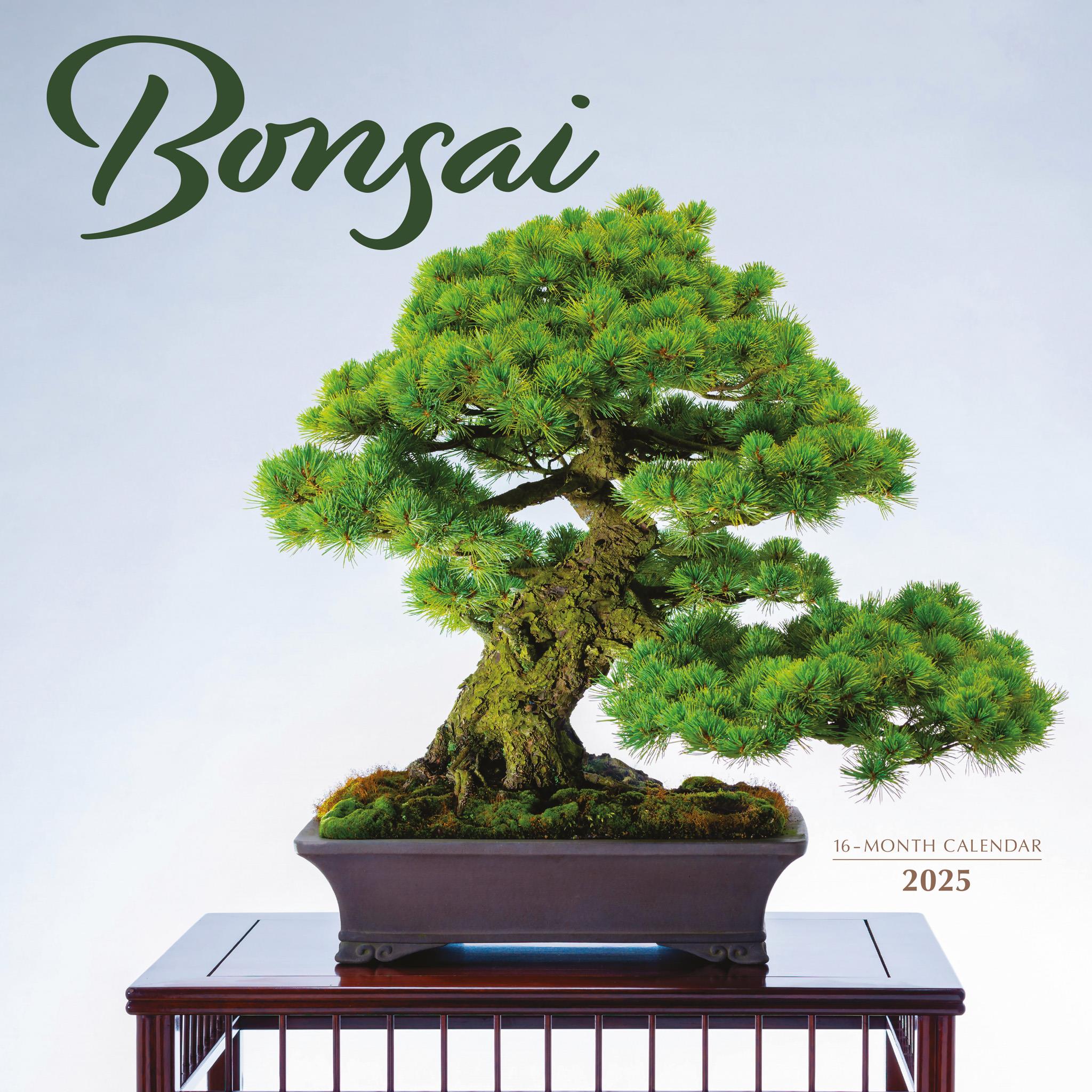 Bonsai Wall 2025 Calendar