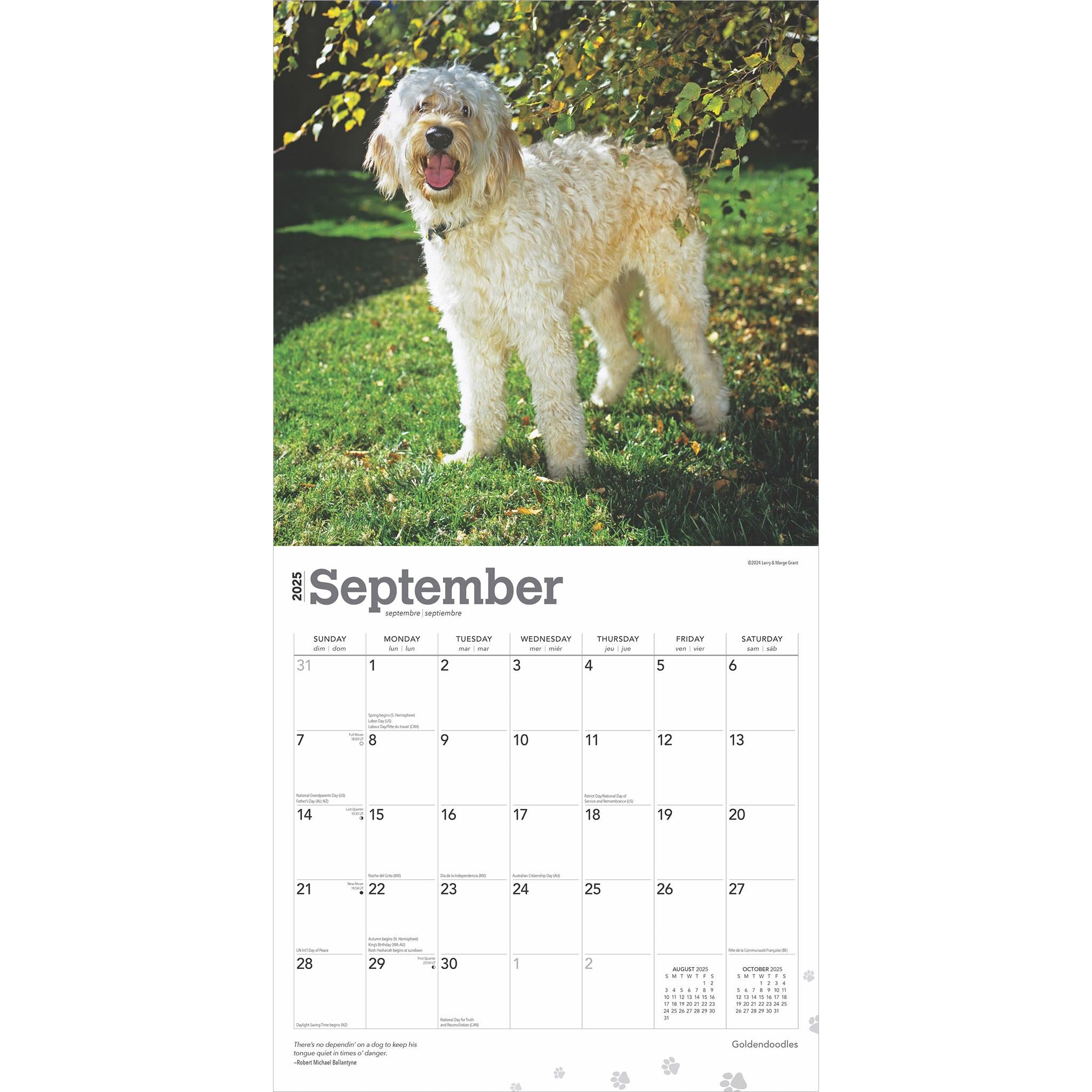 Goldendoodles Wall 2025 Calendar