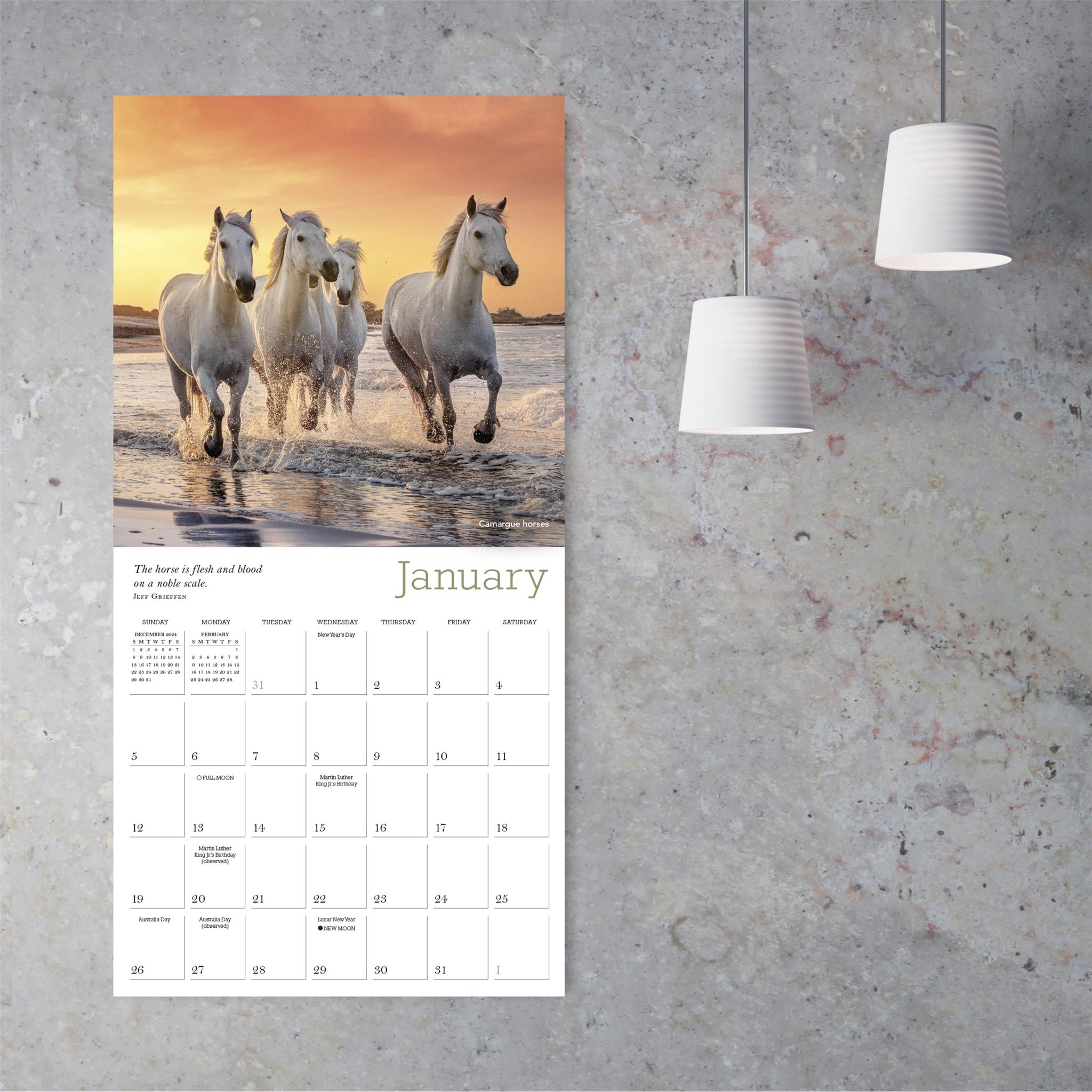 Majestic Horse Wall 2025 Calendar - Online Exclusive