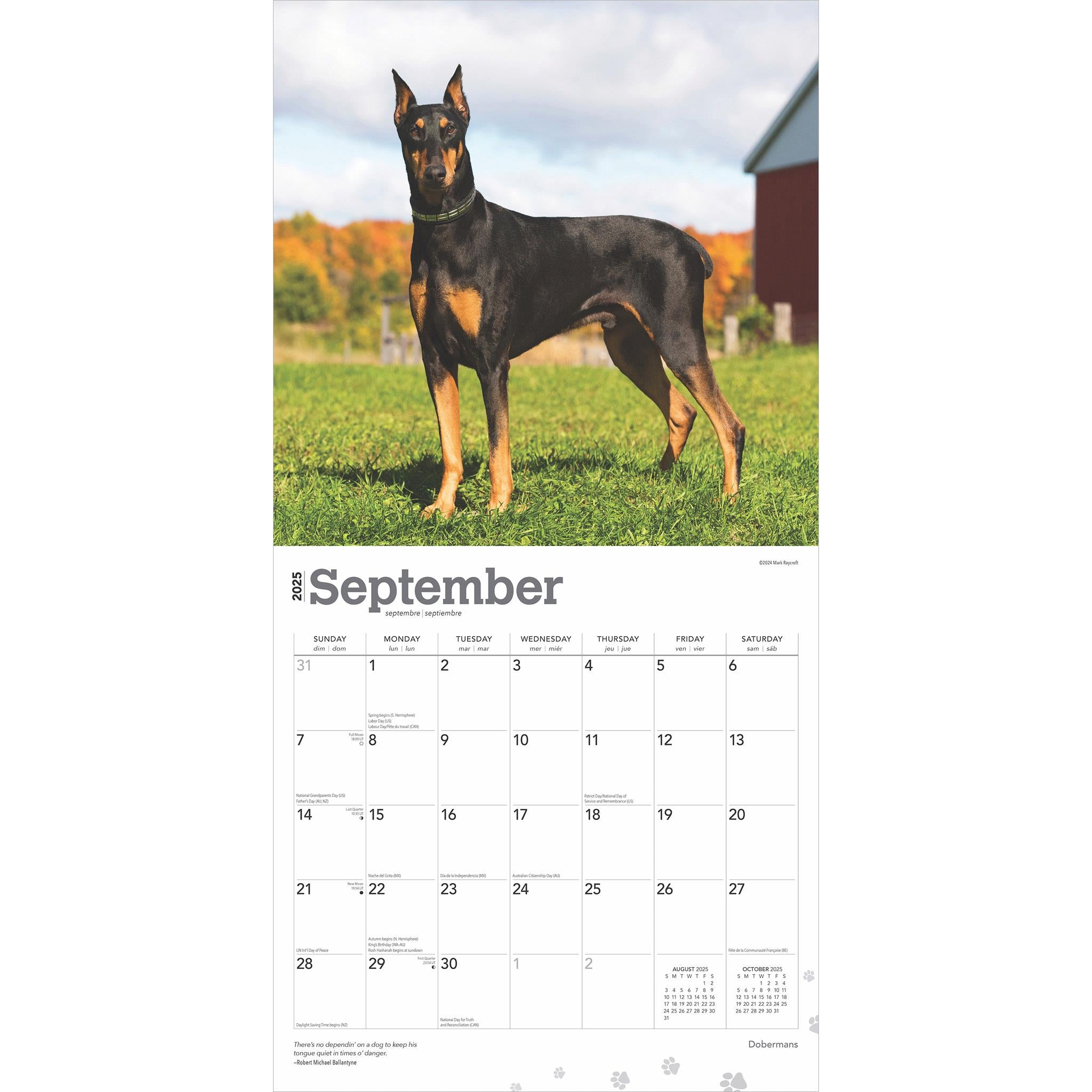 Dobermans Wall 2025 Calendar