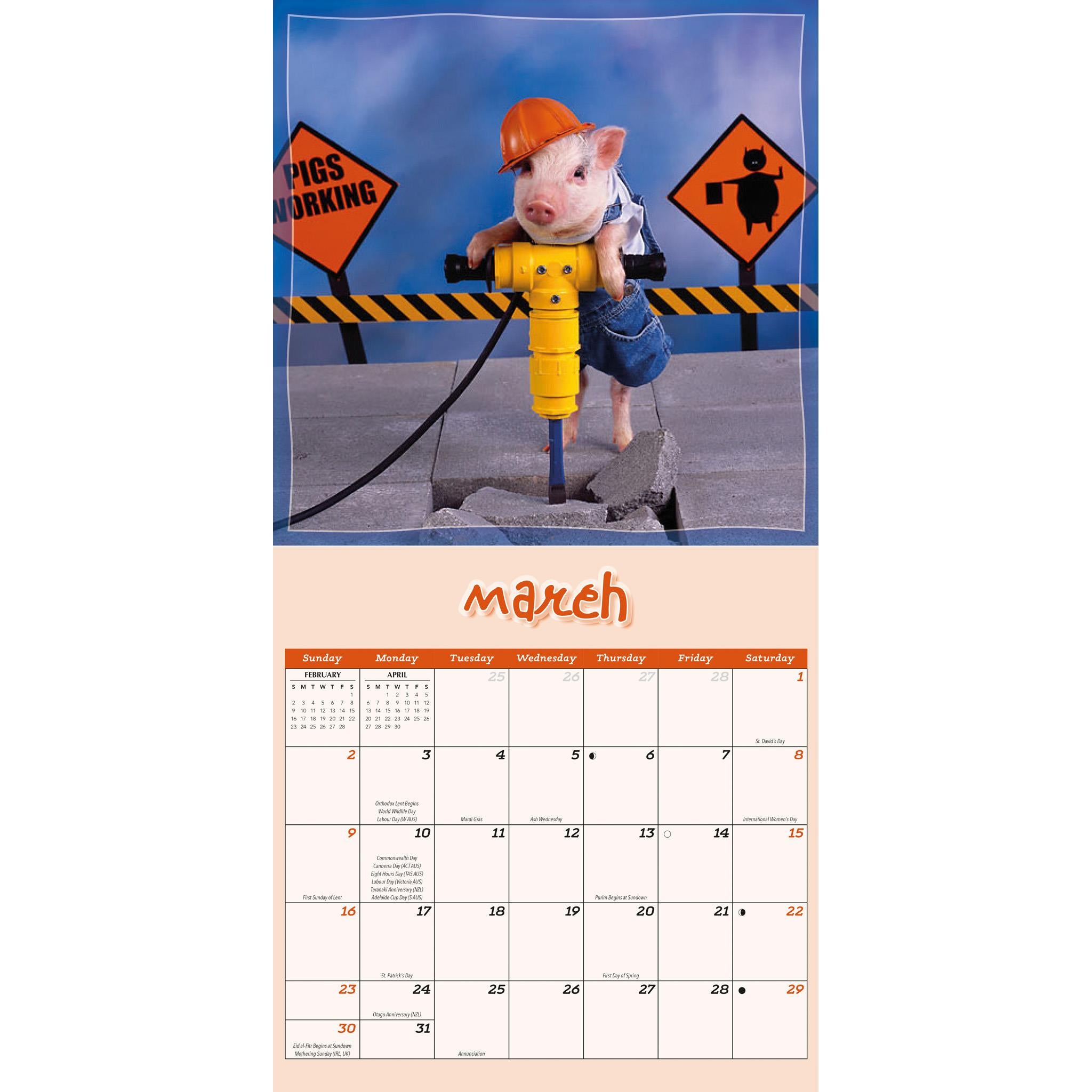 Pigs Playfu Wall 2025 Calendar