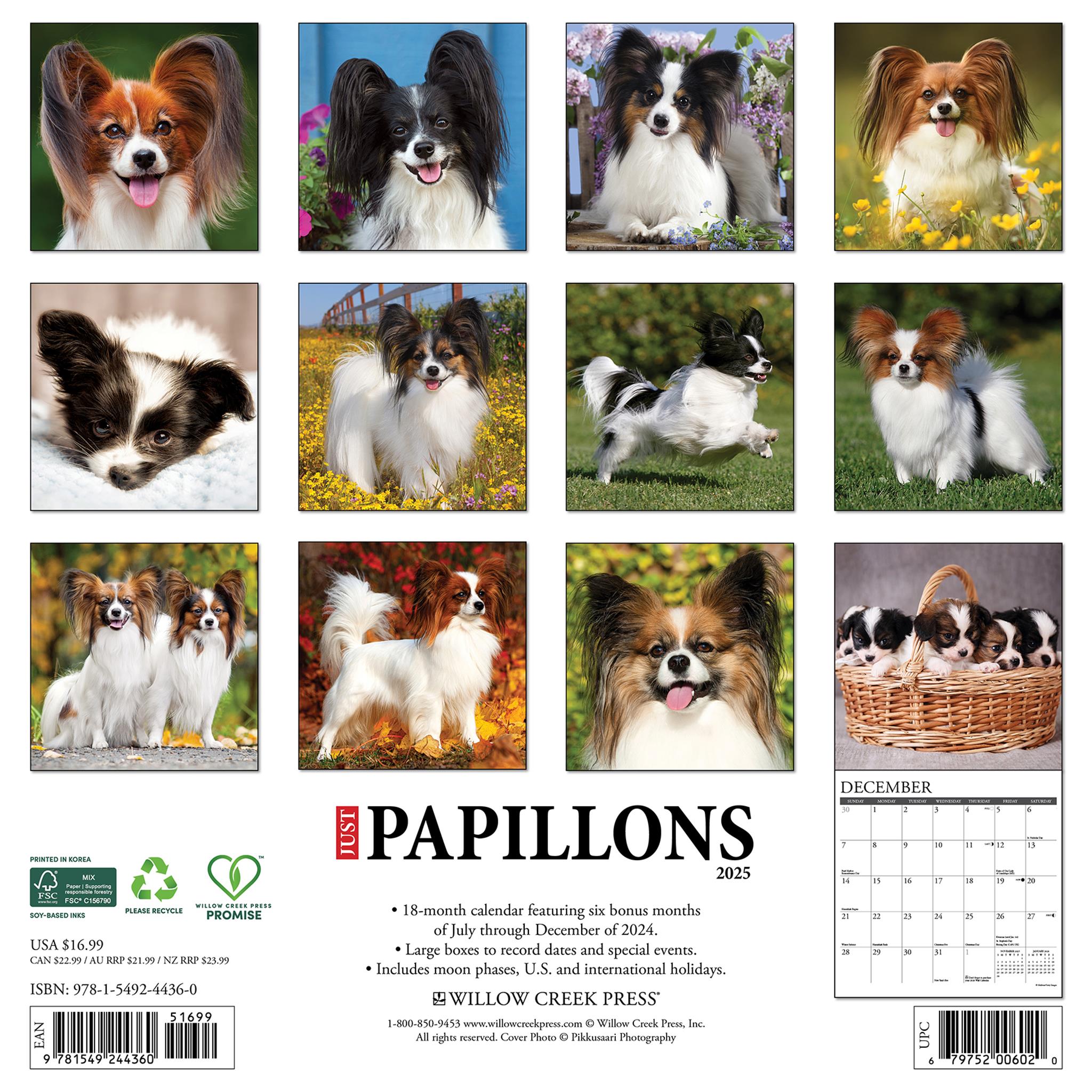 Just Papillons Wall 2025 Calendar