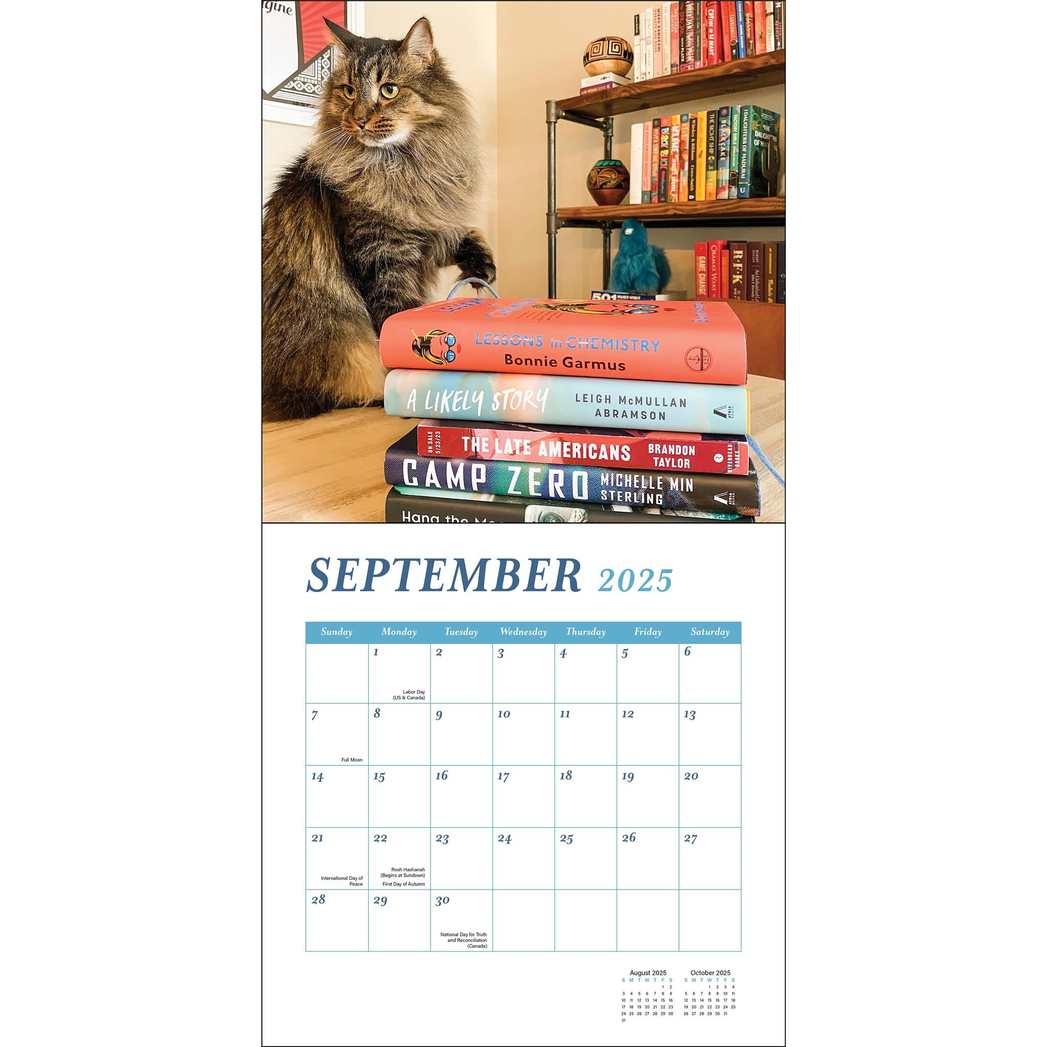 Cats And Books Wall 2025 Calendar