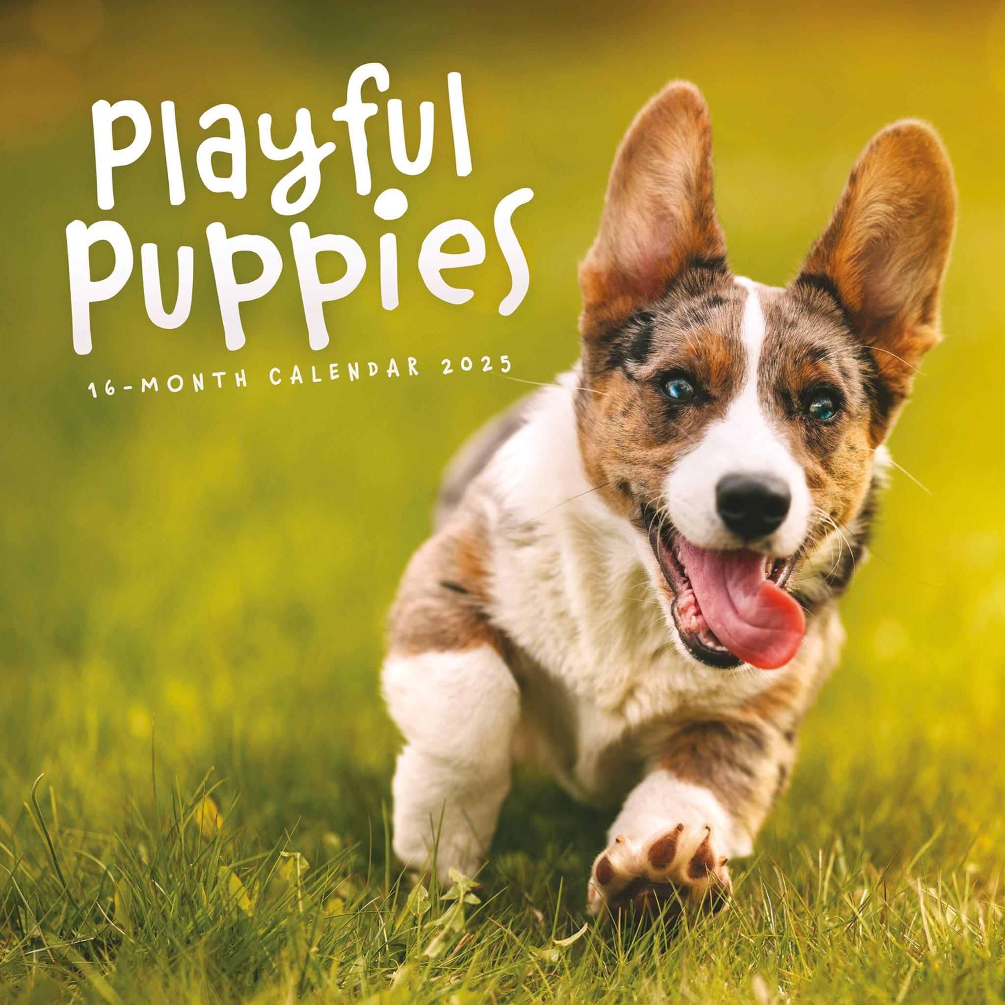 Playful Puppies Wall 2025 Calendar