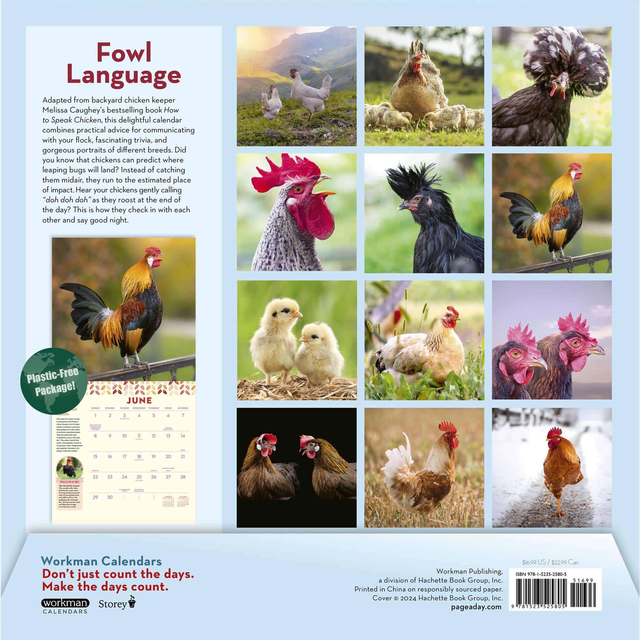 How To Speak Chicken Wall 2025 Calendar - Online Exclusive