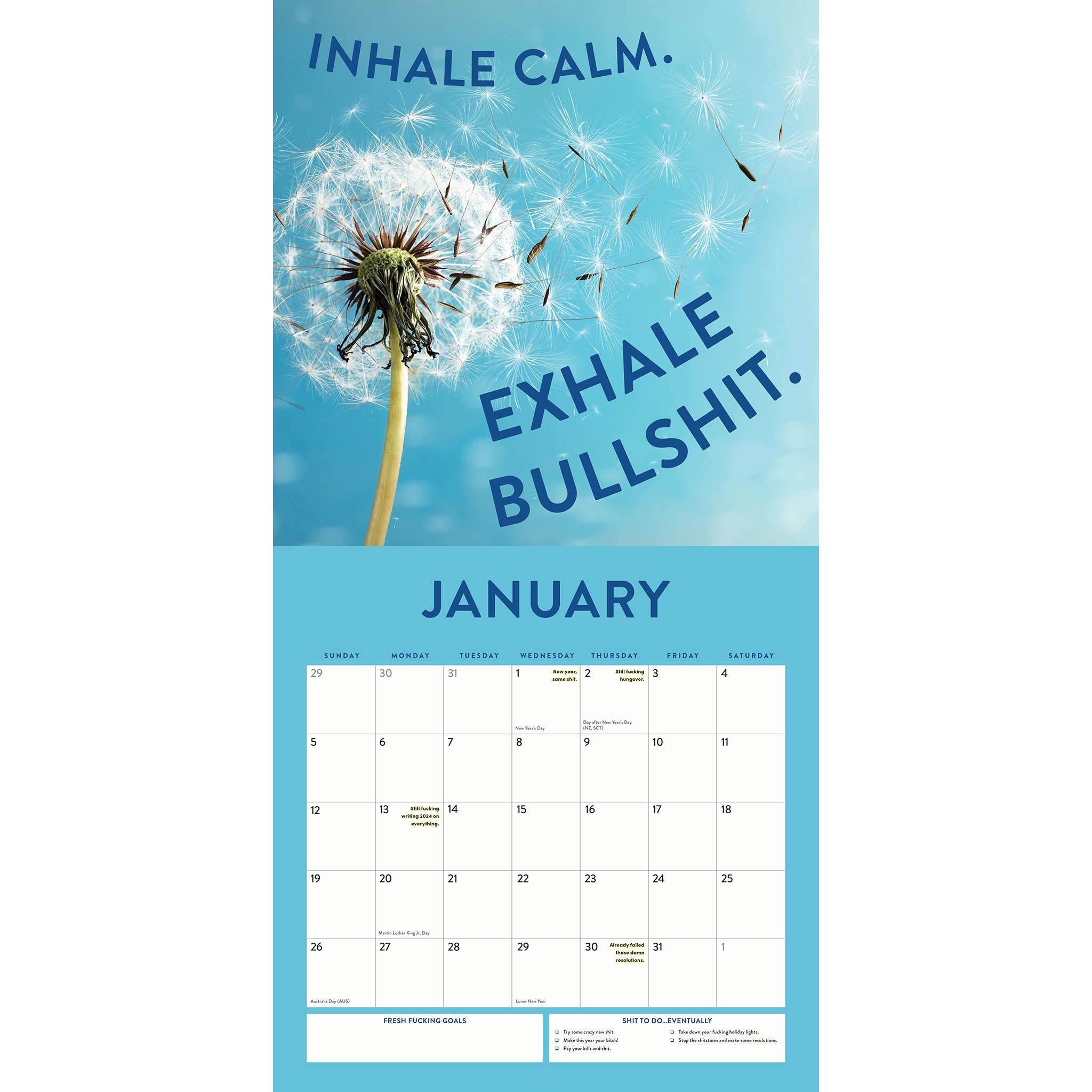 Chill The Fck Out Wall 2025 Calendar - Online Exclusive