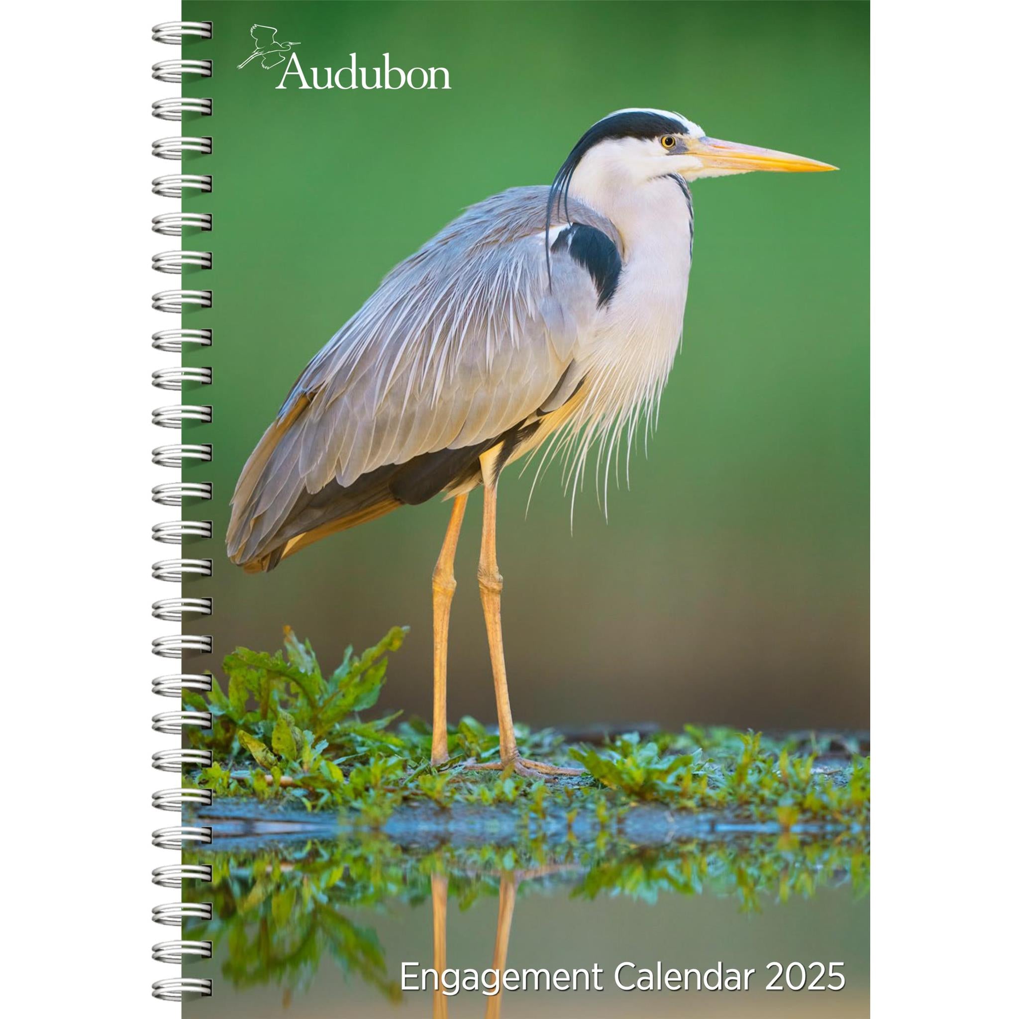 Audubon Engagement 2025 Calendar