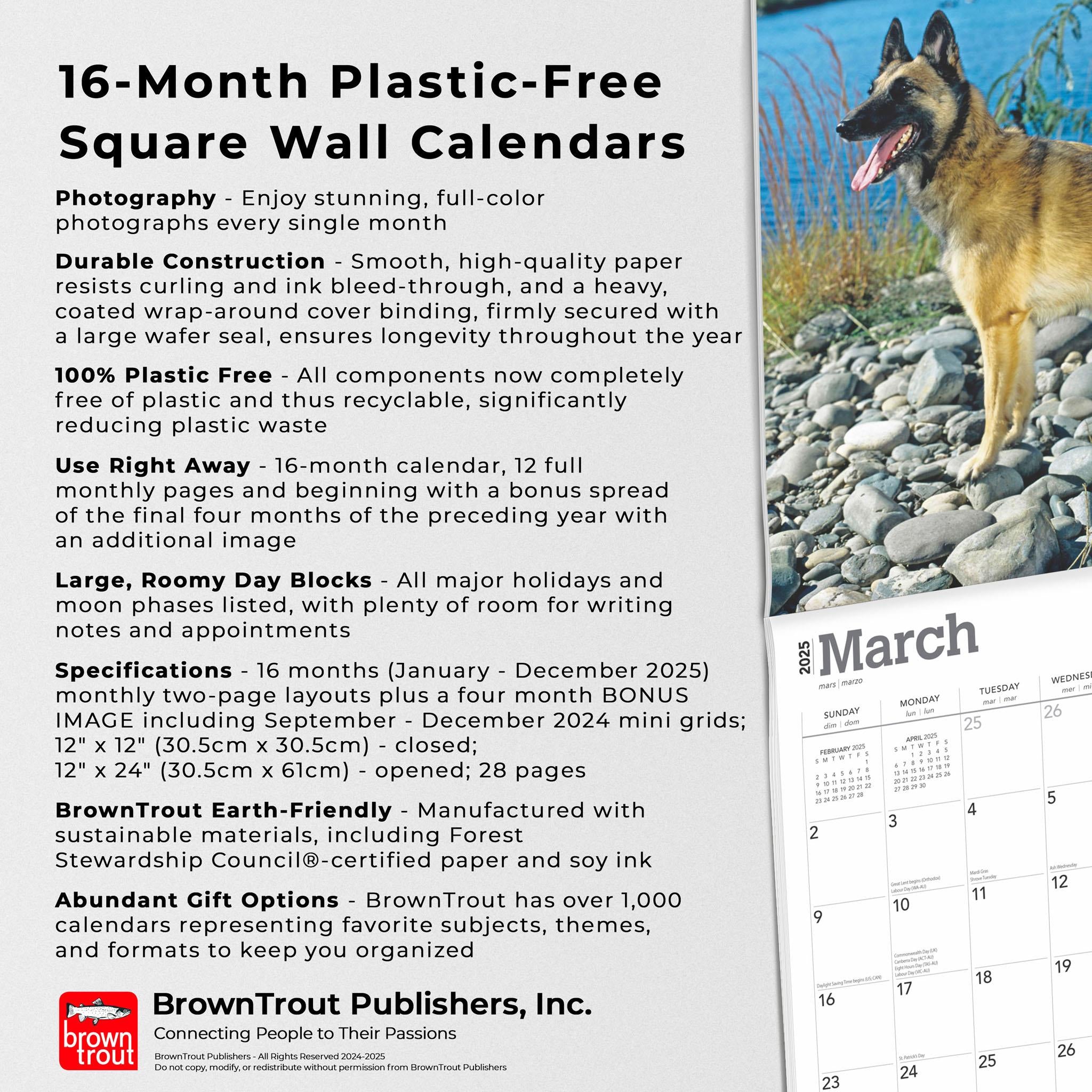 Belgian Malinois Wall 2025 Calendar - Online Exclusive