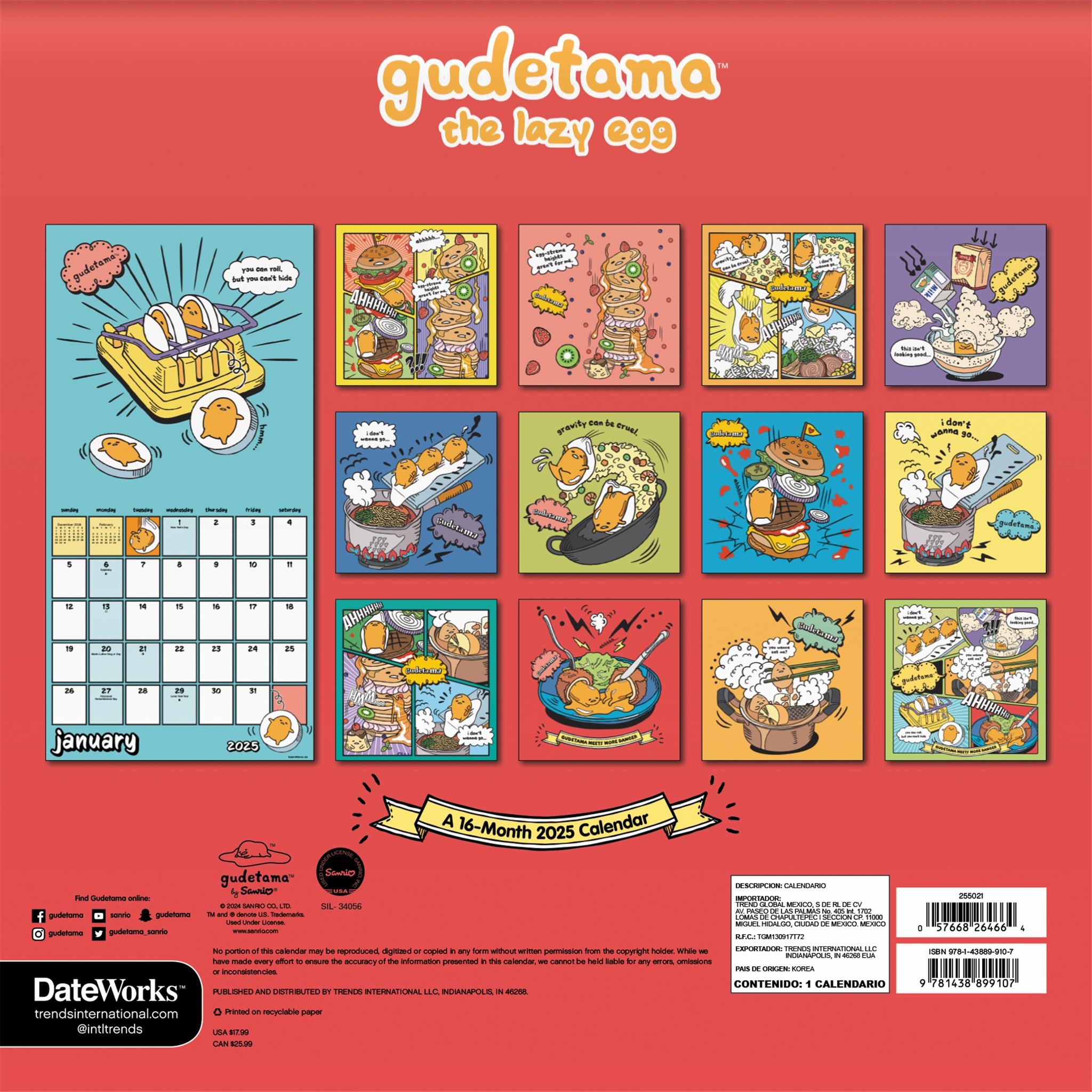 Gudetama Wall 2025 Calendar - Online Exclusive