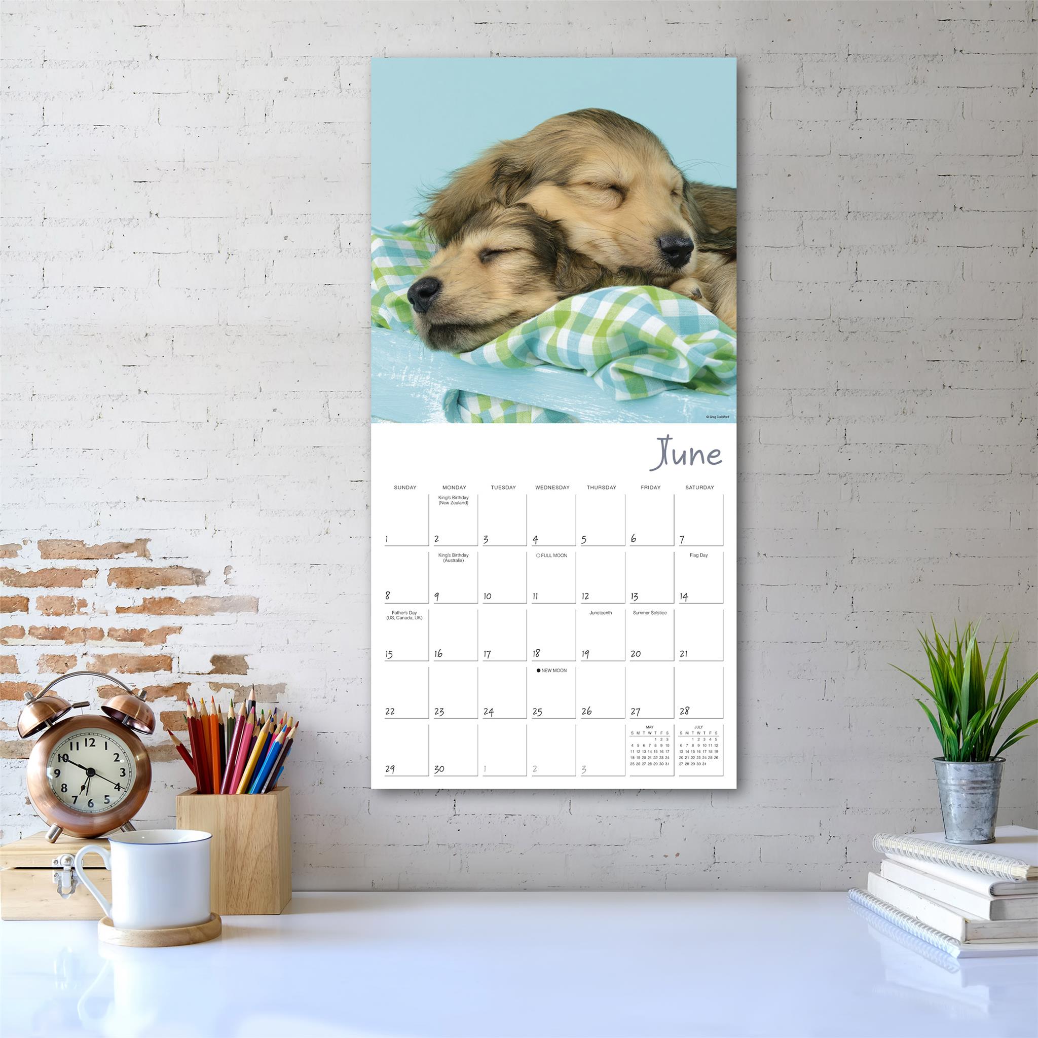 Pooped Puppies Wall 2025 Calendar - Online Exclusive