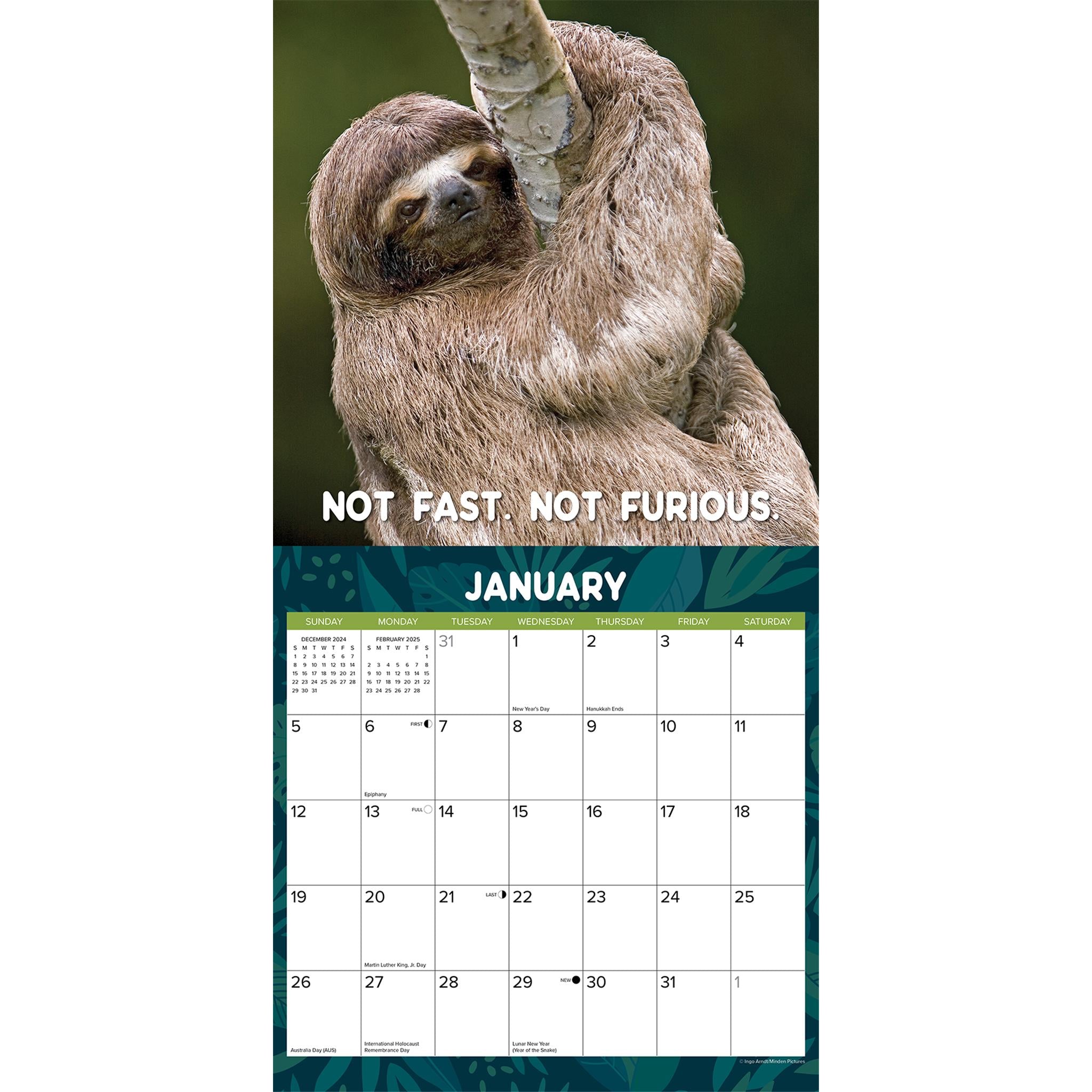 Sloth Mode Wall 2025 Calendar - Online Exclusive