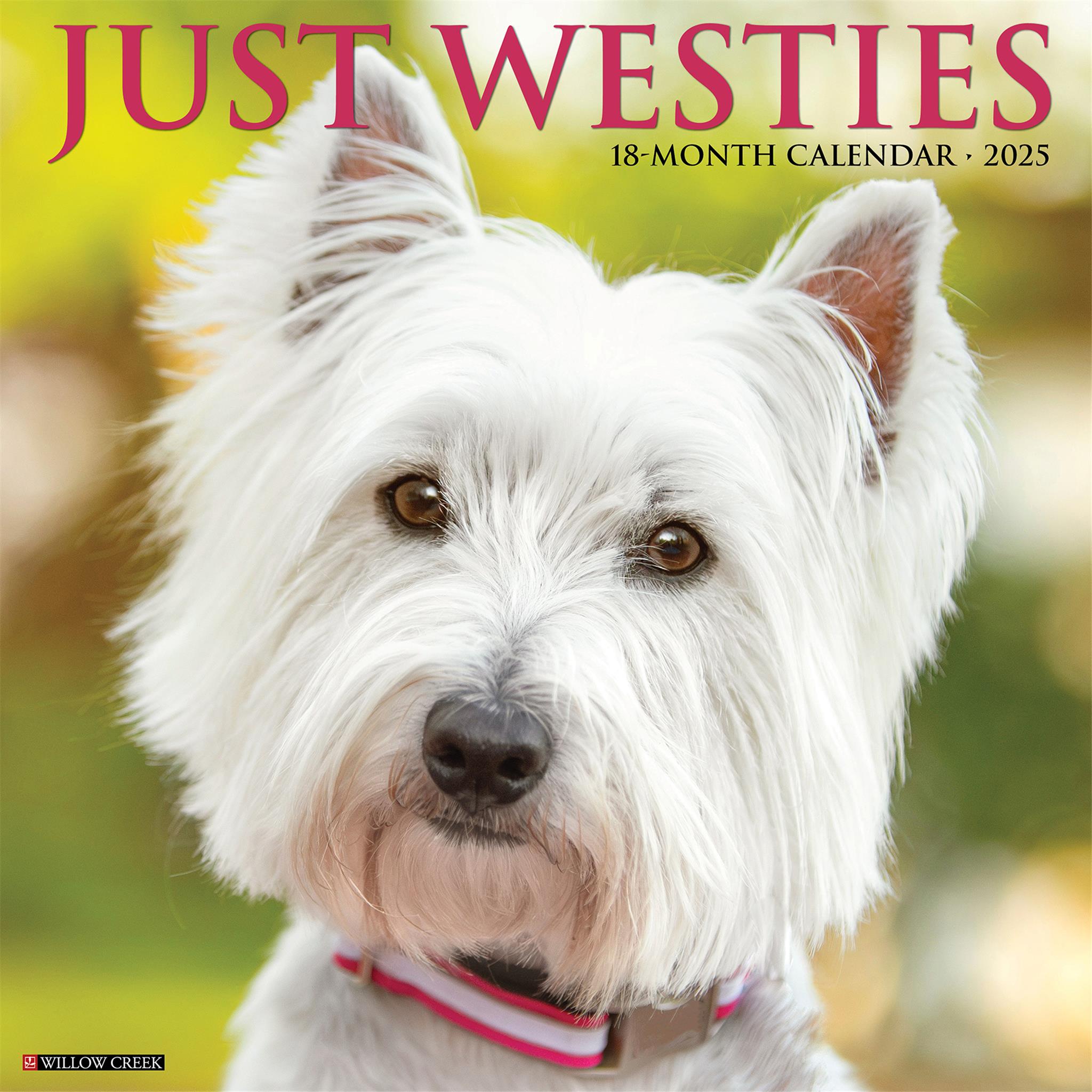 Westies Just Wall 2025 Calendar