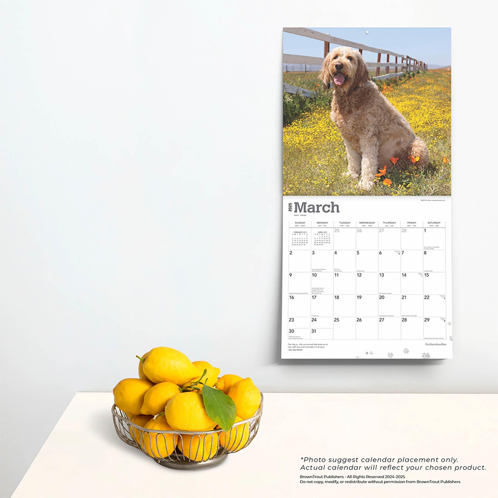 Goldendoodles Wall 2025 Calendar