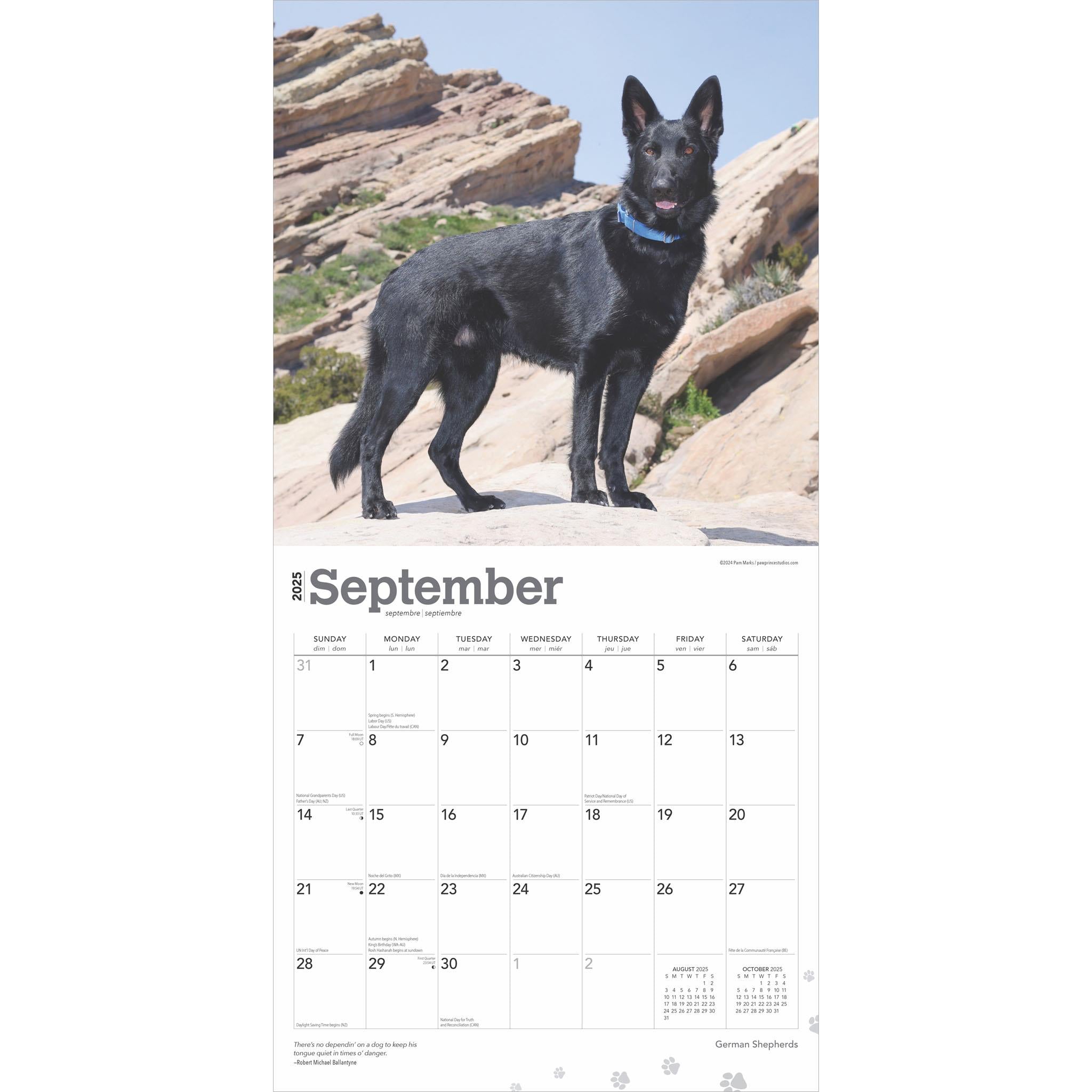 German Shepherds Wall 2025 Calendar - Online Exclusive