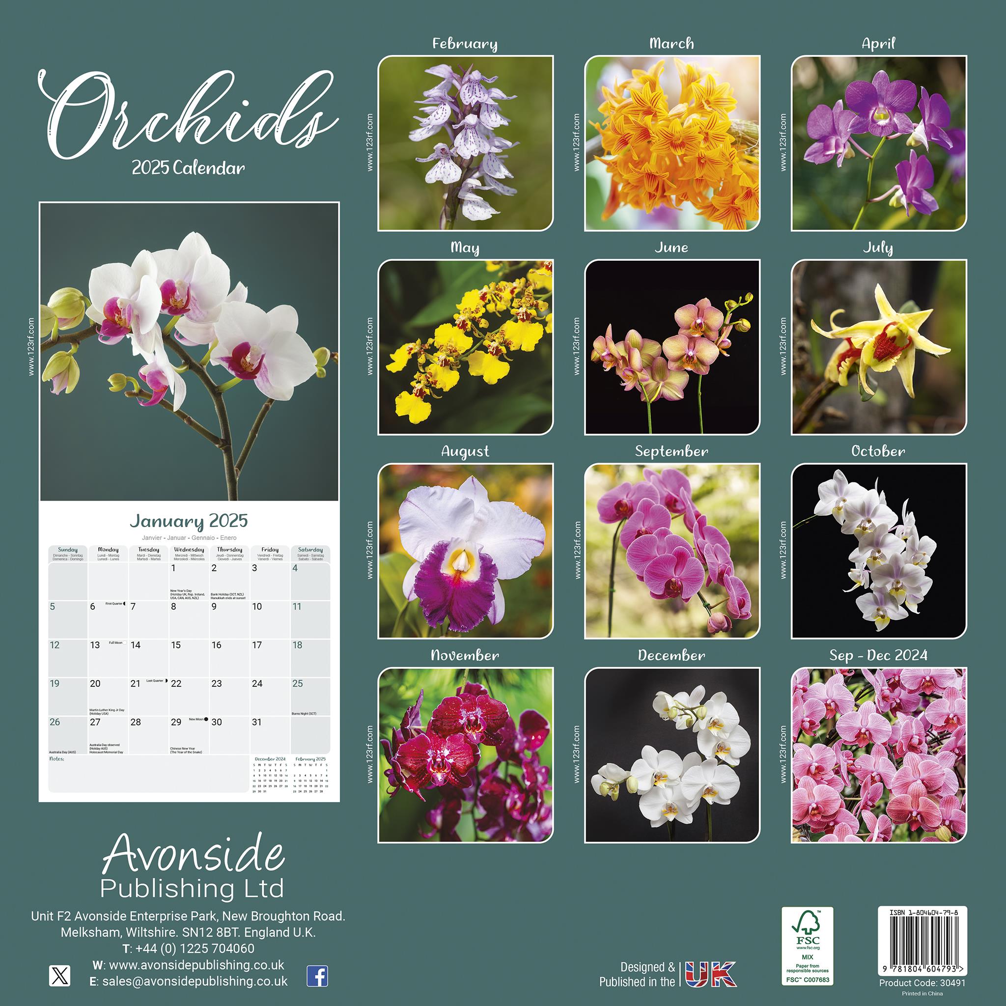 Orchids Wall 2025 Calendar