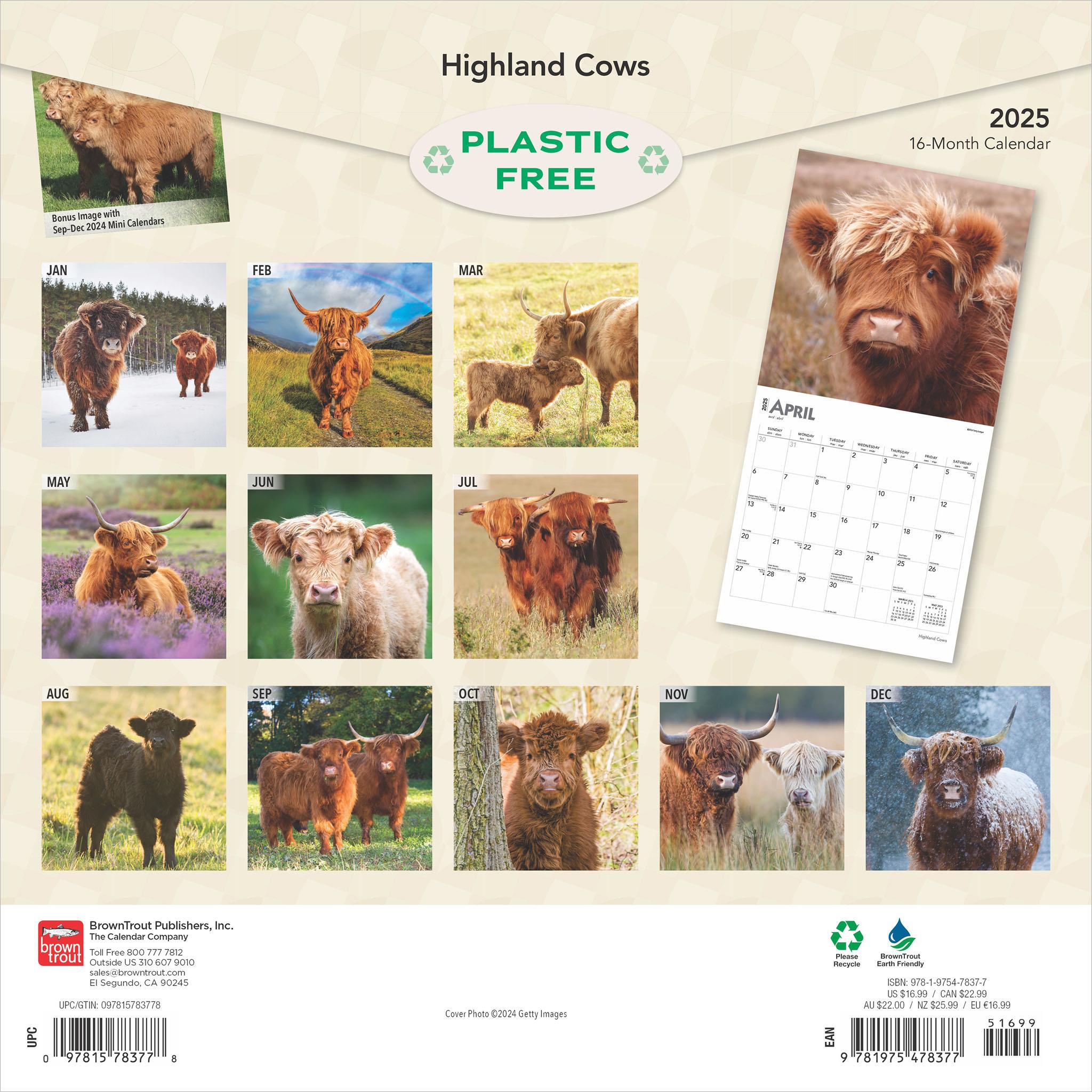 Highland Cows Wall 2025 Calendar