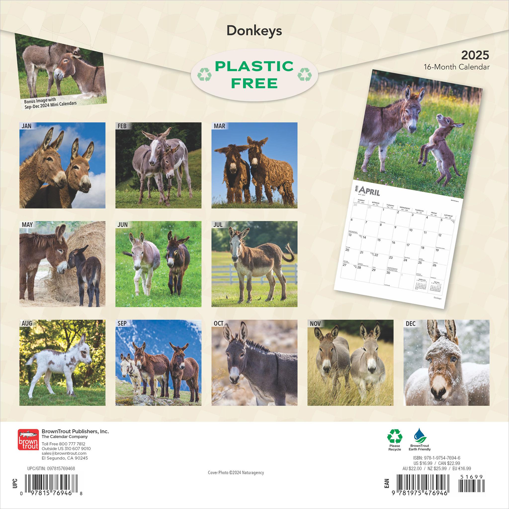 Donkeys Wall 2025 Calendar