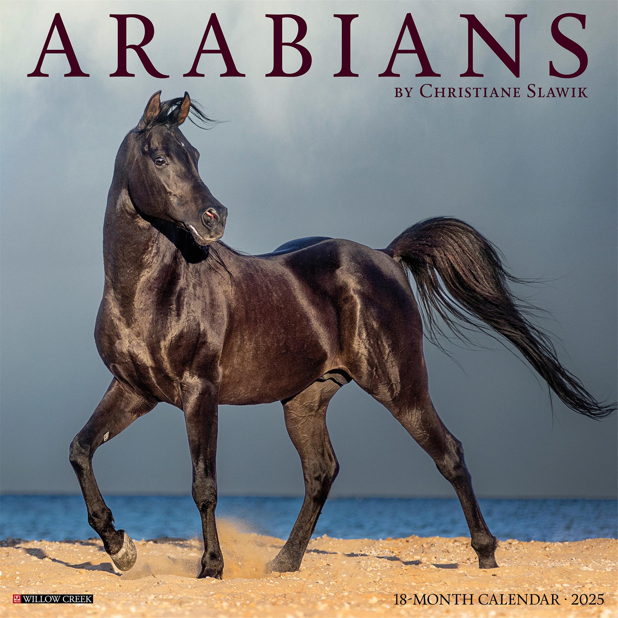 Arabians Wall 2025 Calendar - Online Exclusive