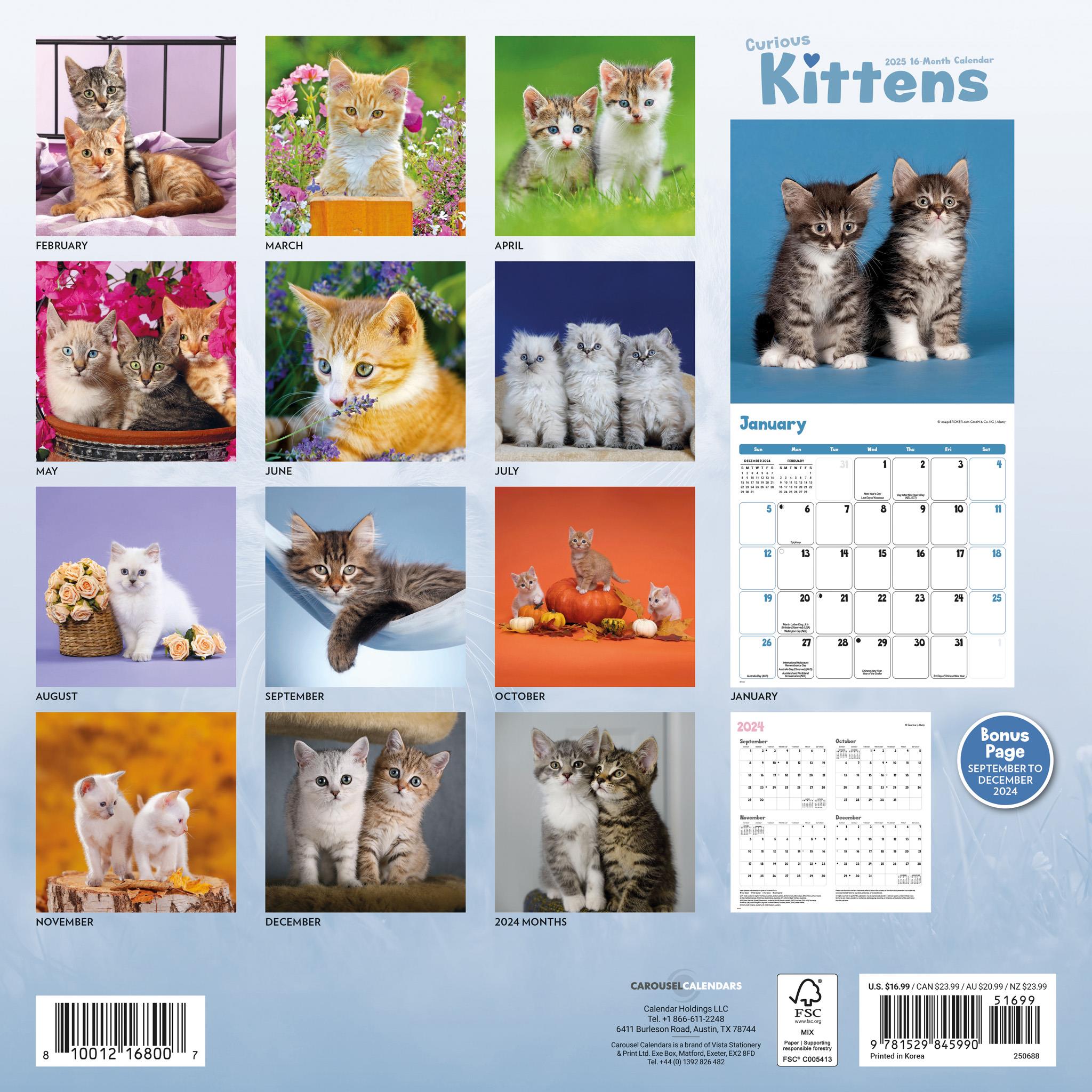 Curious Kittens Wall 2025 Calendar