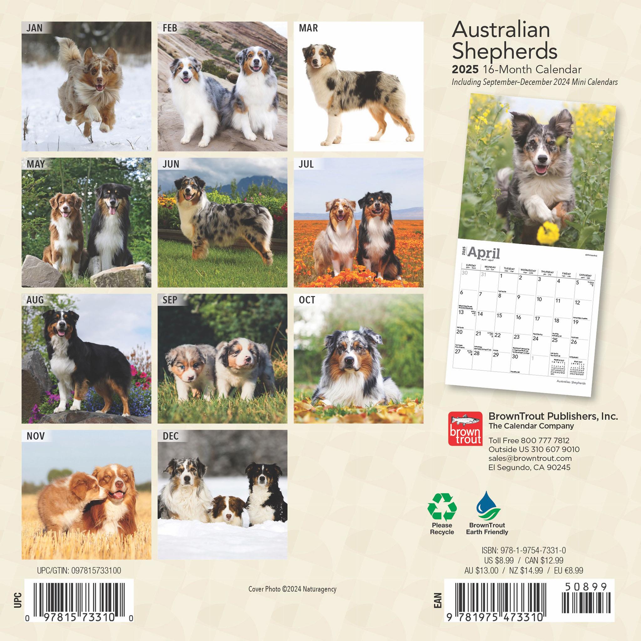 Australian Shepherds Mini 2025 Calendar - Online Exclusive