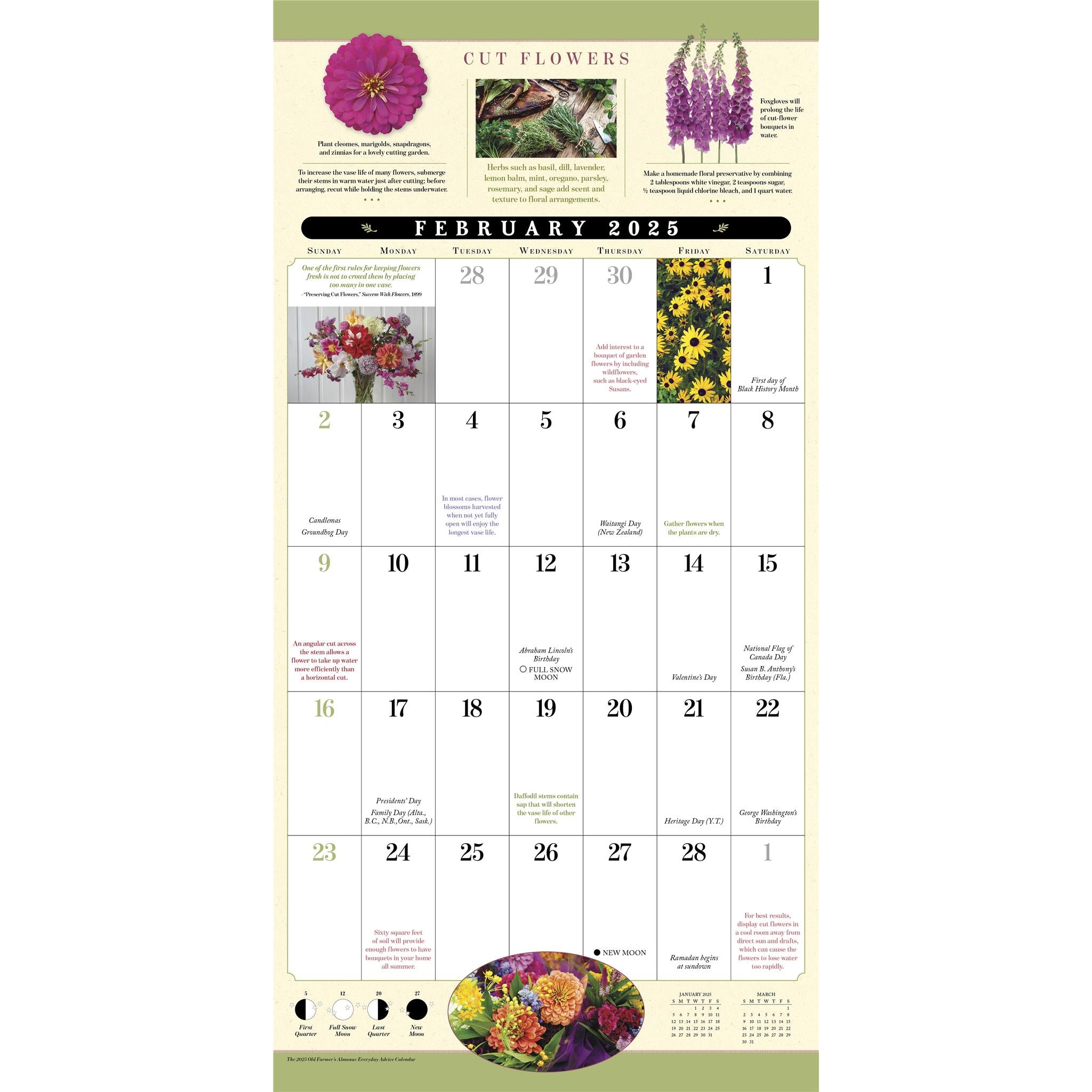 Old Farmers Almanac Everyday Advice Wall 2025 Calendar