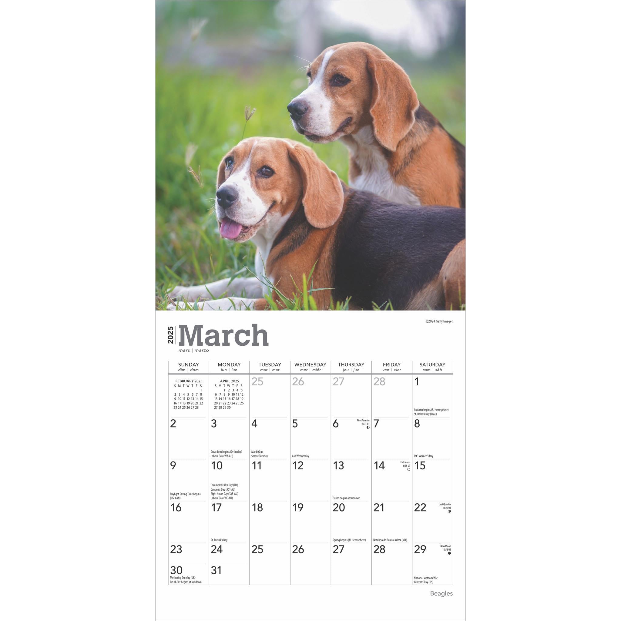 Beagles Mini 2025 Calendar