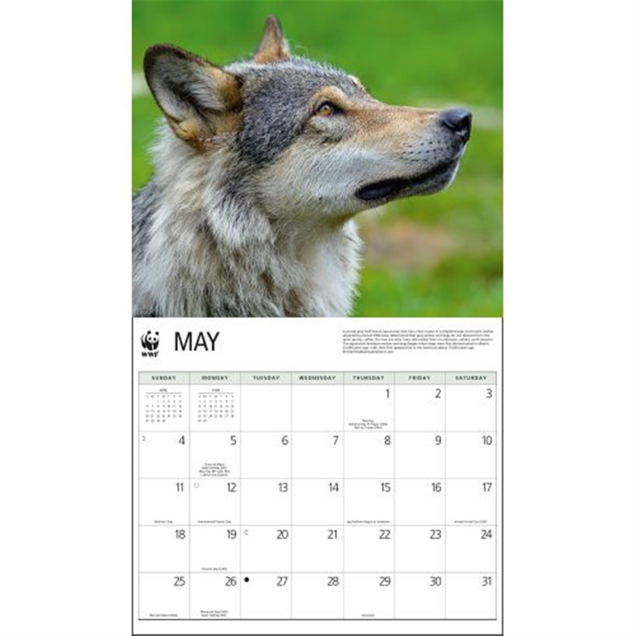 Wolves World Wildlife Fund Wall 2025 Calendar