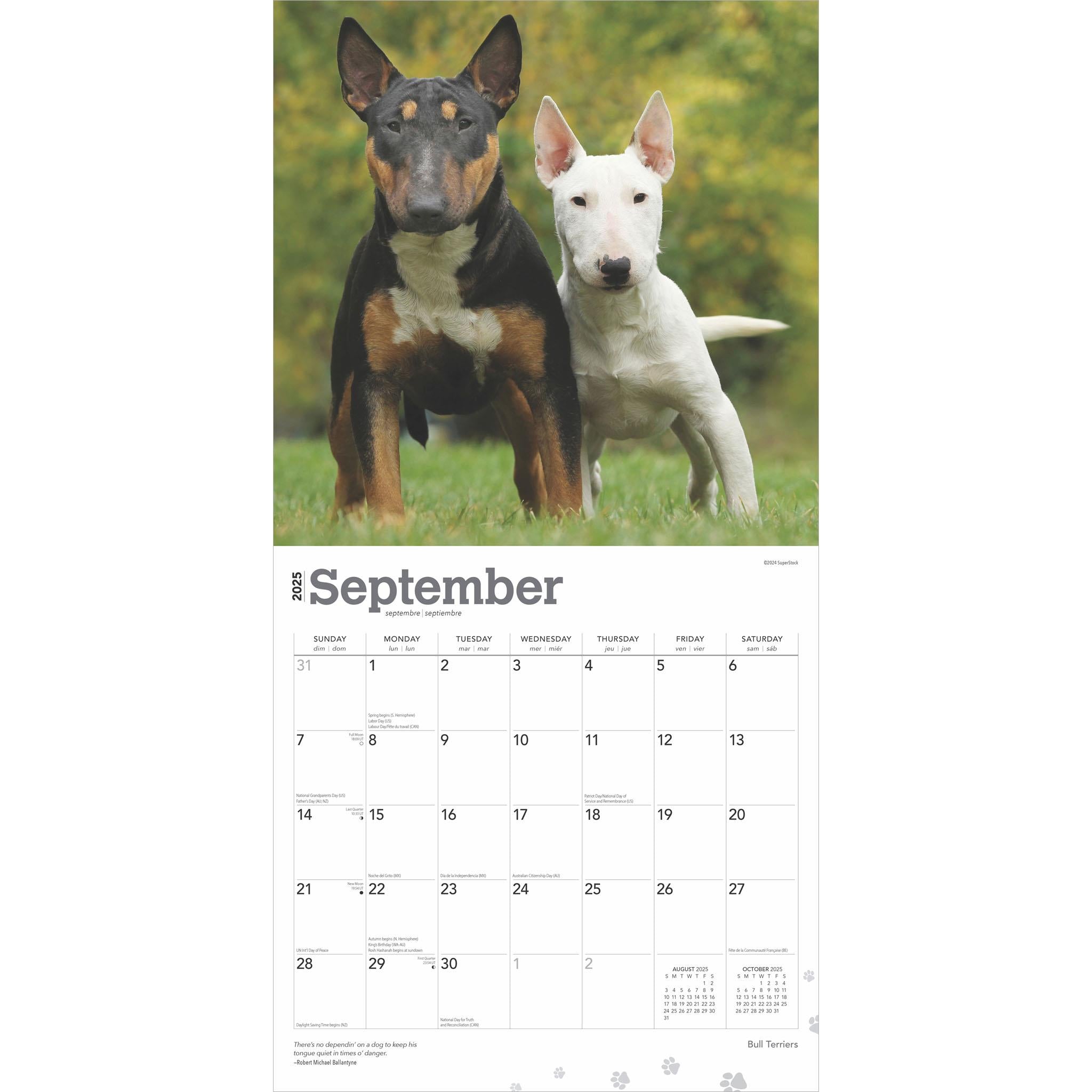 Bull Terriers Wall 2025 Calendar