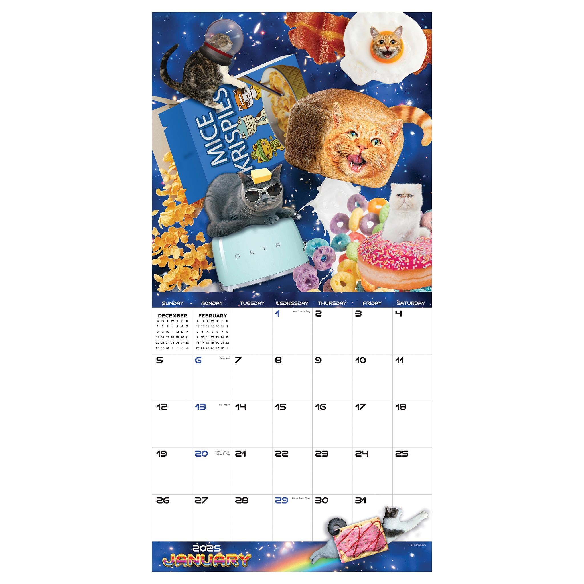 Space Cats Wall 2025 Calendar - Online Exclusive