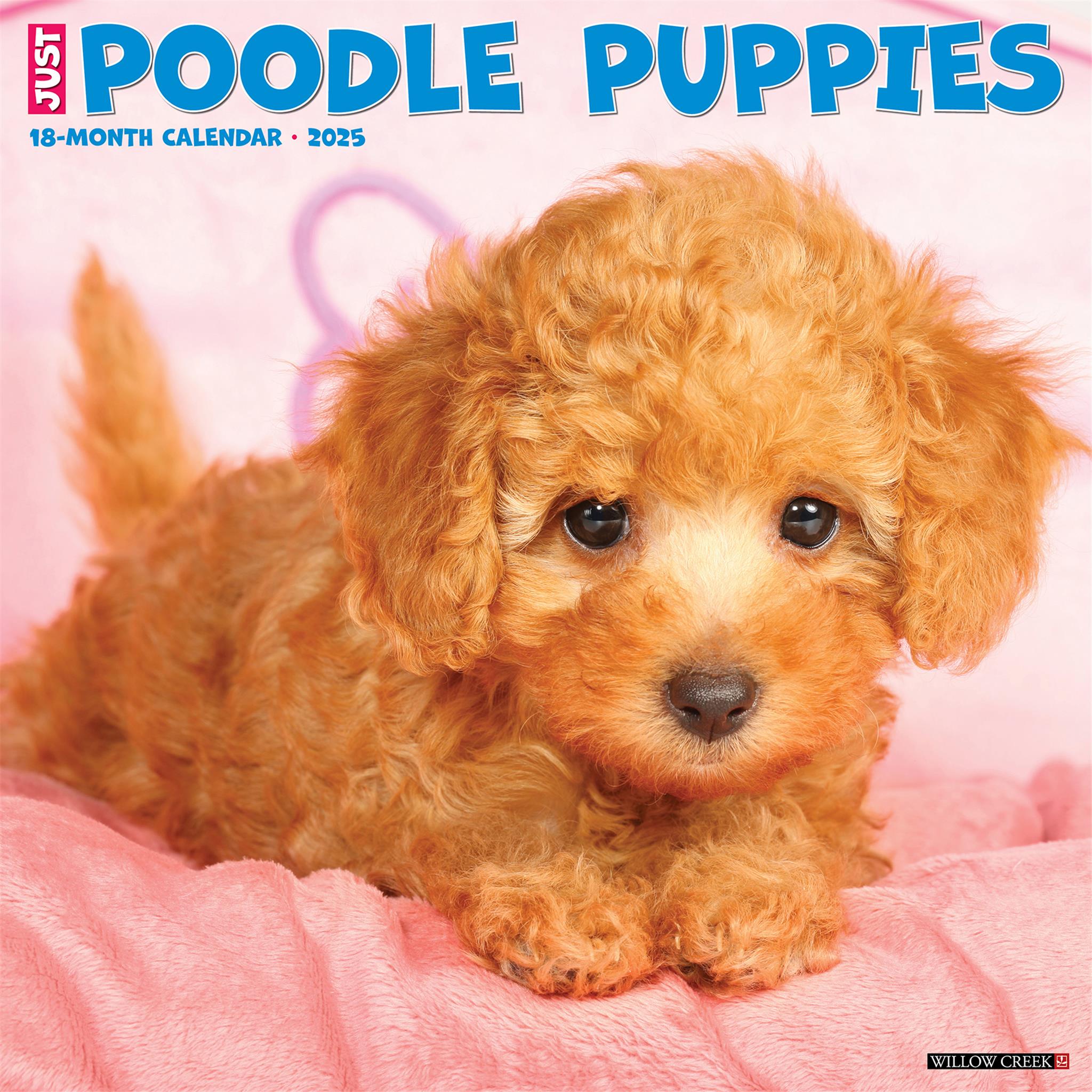 Just Poodle Puppies Wall 2025 Calendar