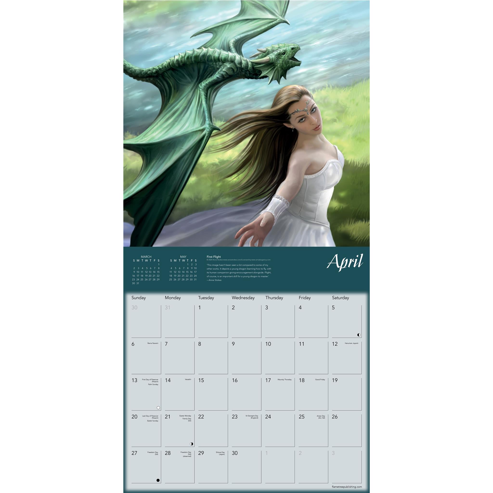 Dragons By Anne Stokes Wall 2025 Calendar - Online Exclusive