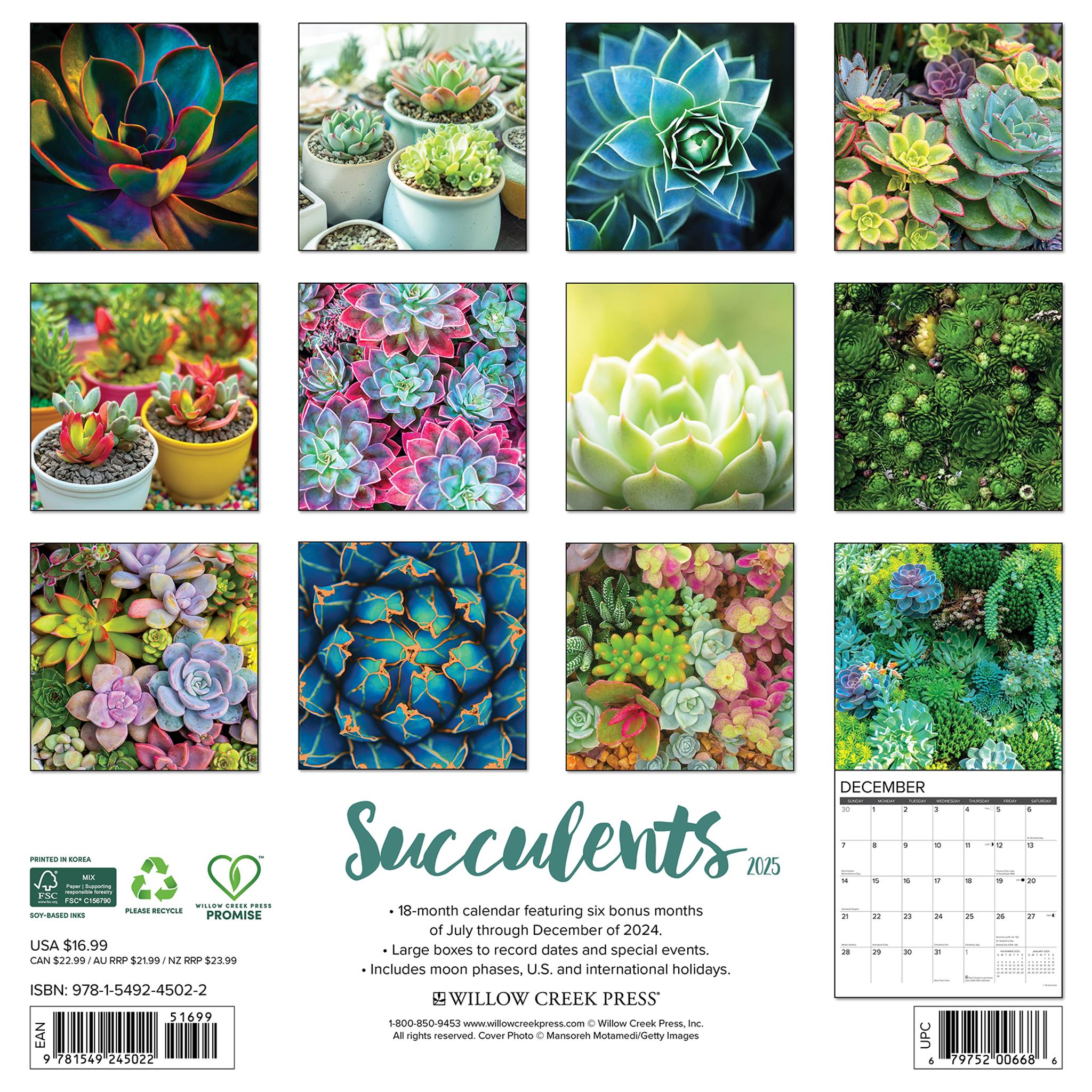 Succulents Wall 2025 Calendar - Online Exclusive