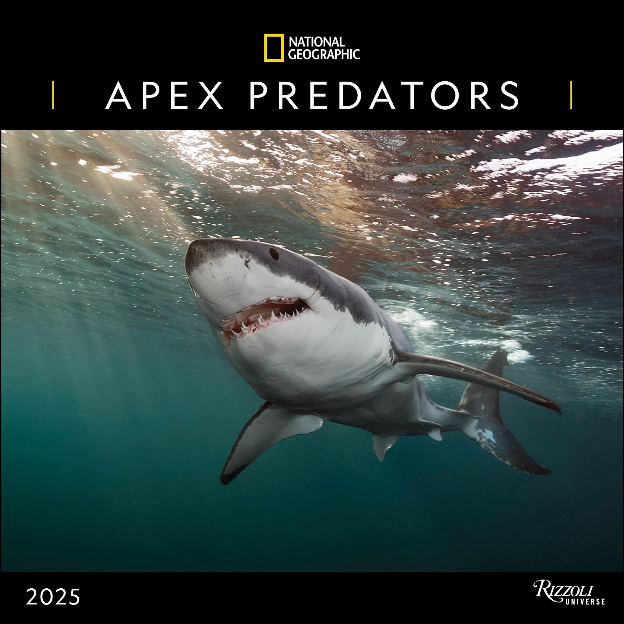 Apex Predators National Geographic Wall 2025 Calendar - Online Exclusive