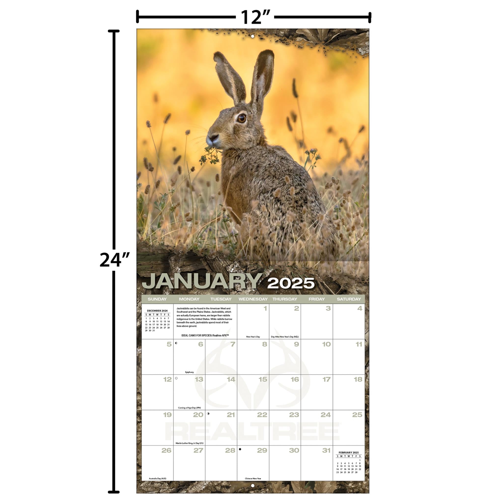 Realtree Hidden Hunter Wall 2025 Calendar - Online Exclusive