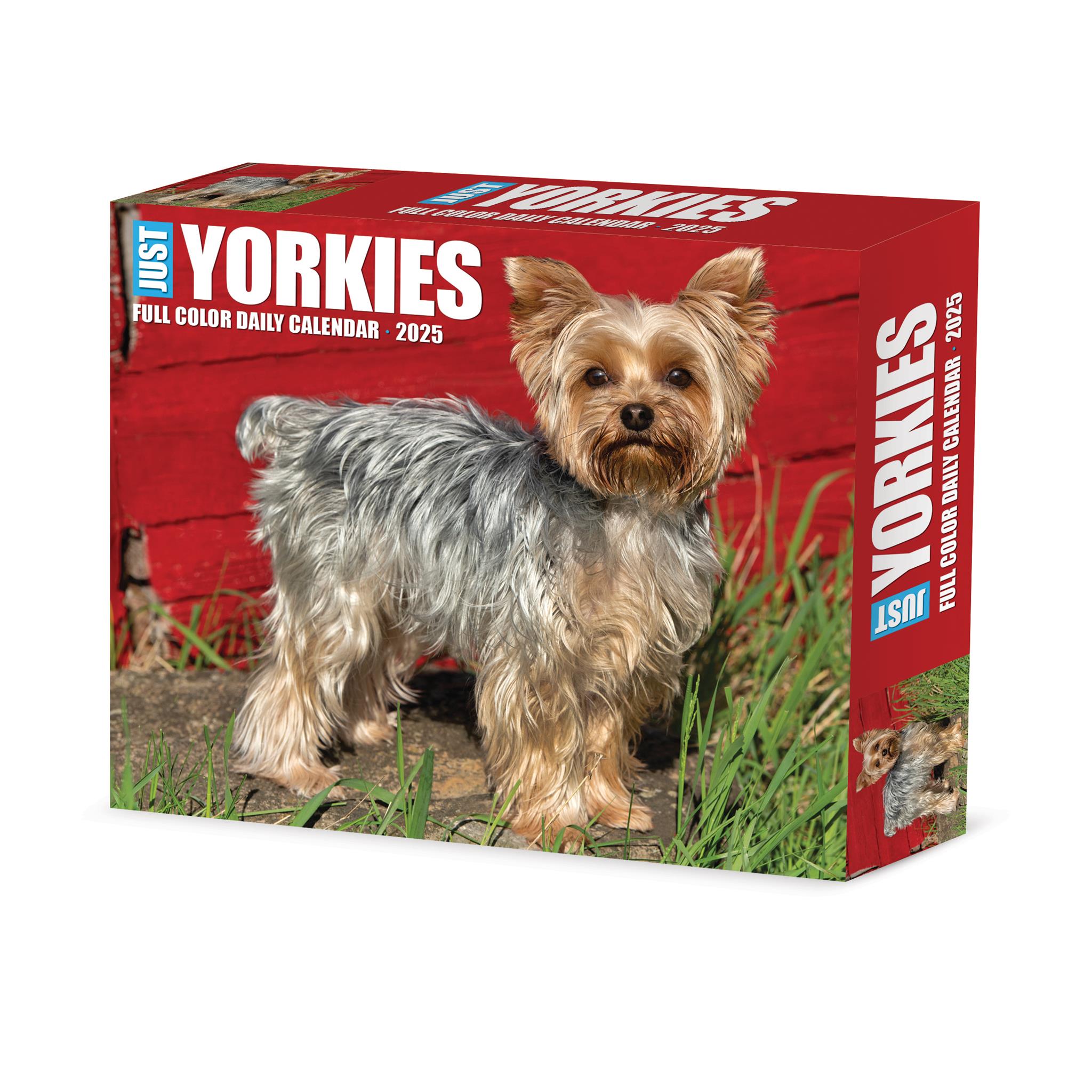 Just Yorkies Box 2025 Calendar - Online Exclusive