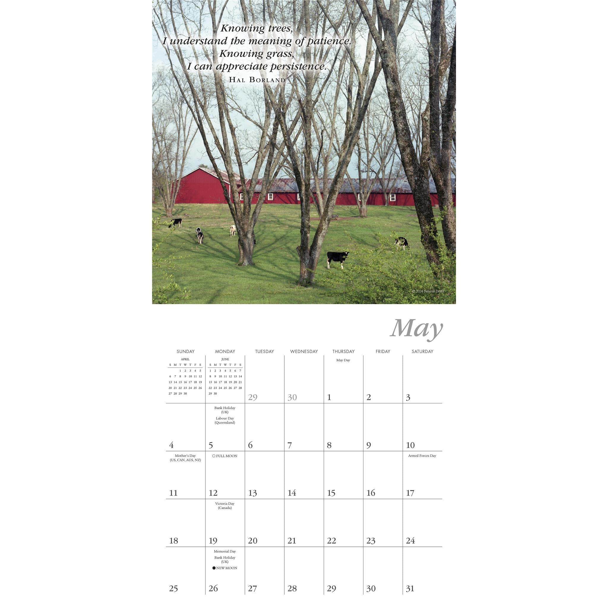 Simplicity Mini 2025 Calendar - Online Exclusive