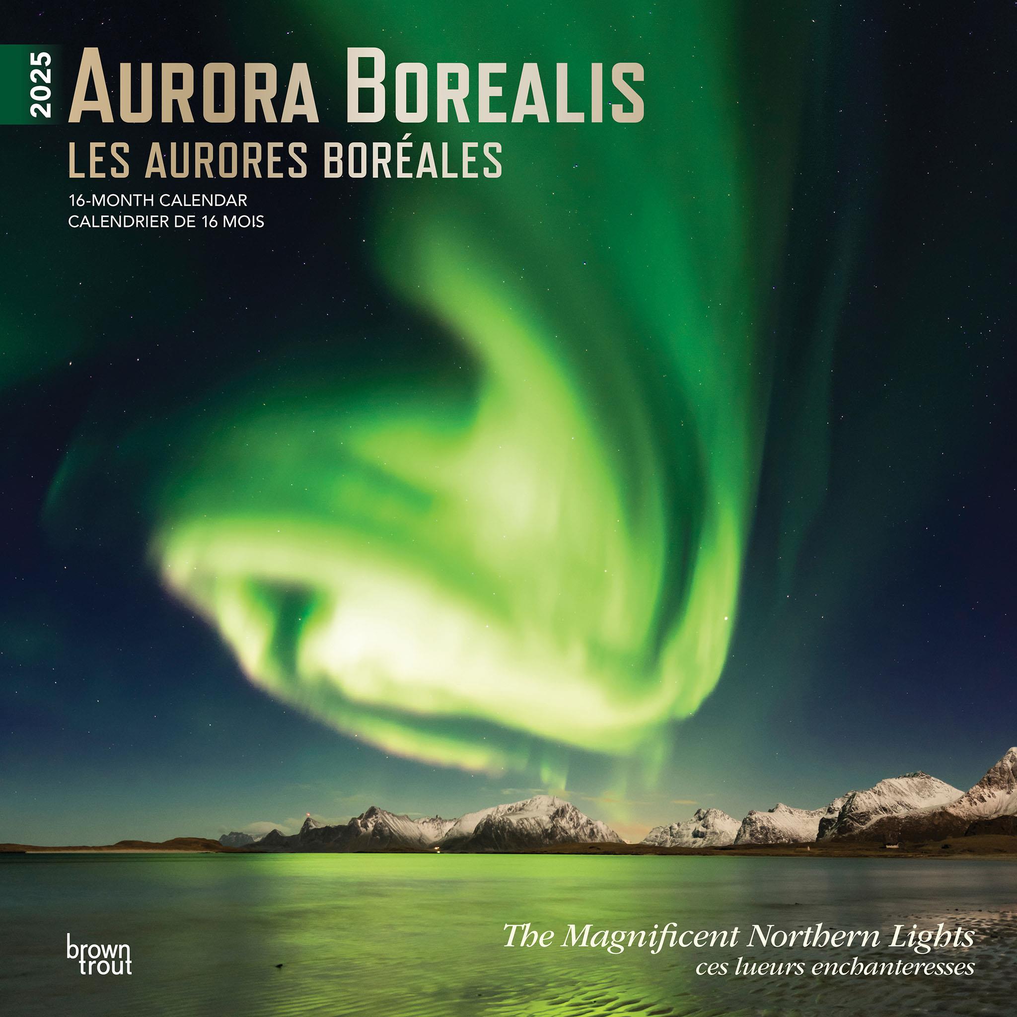 Aurora Borealis Bilingual Wall 2025 Calendar - Online Exclusive