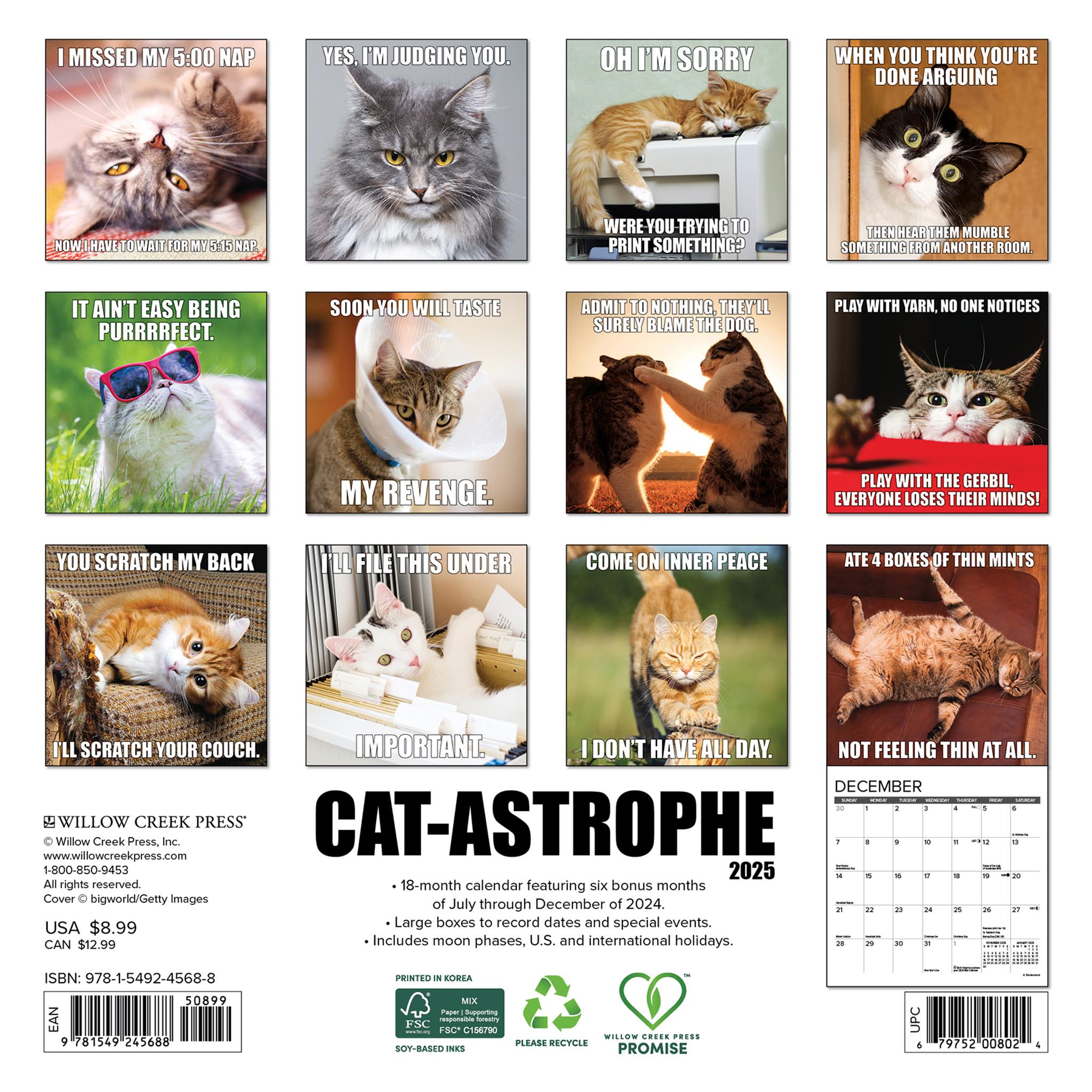 Catastrophe Mini 2025 Calendar